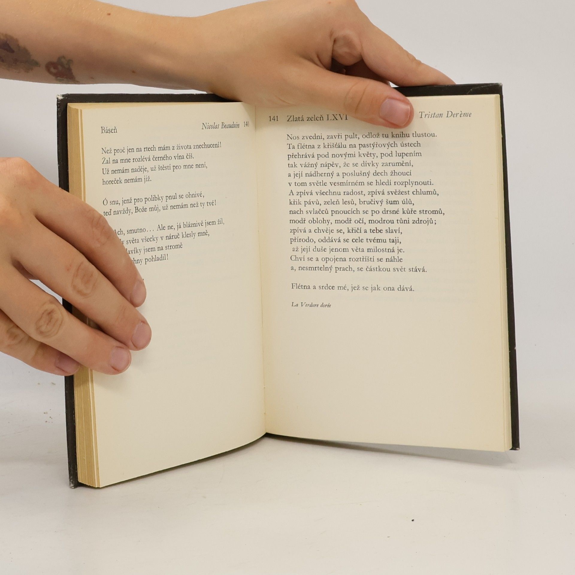 Karel Čapek Francouzská poezie nové doby