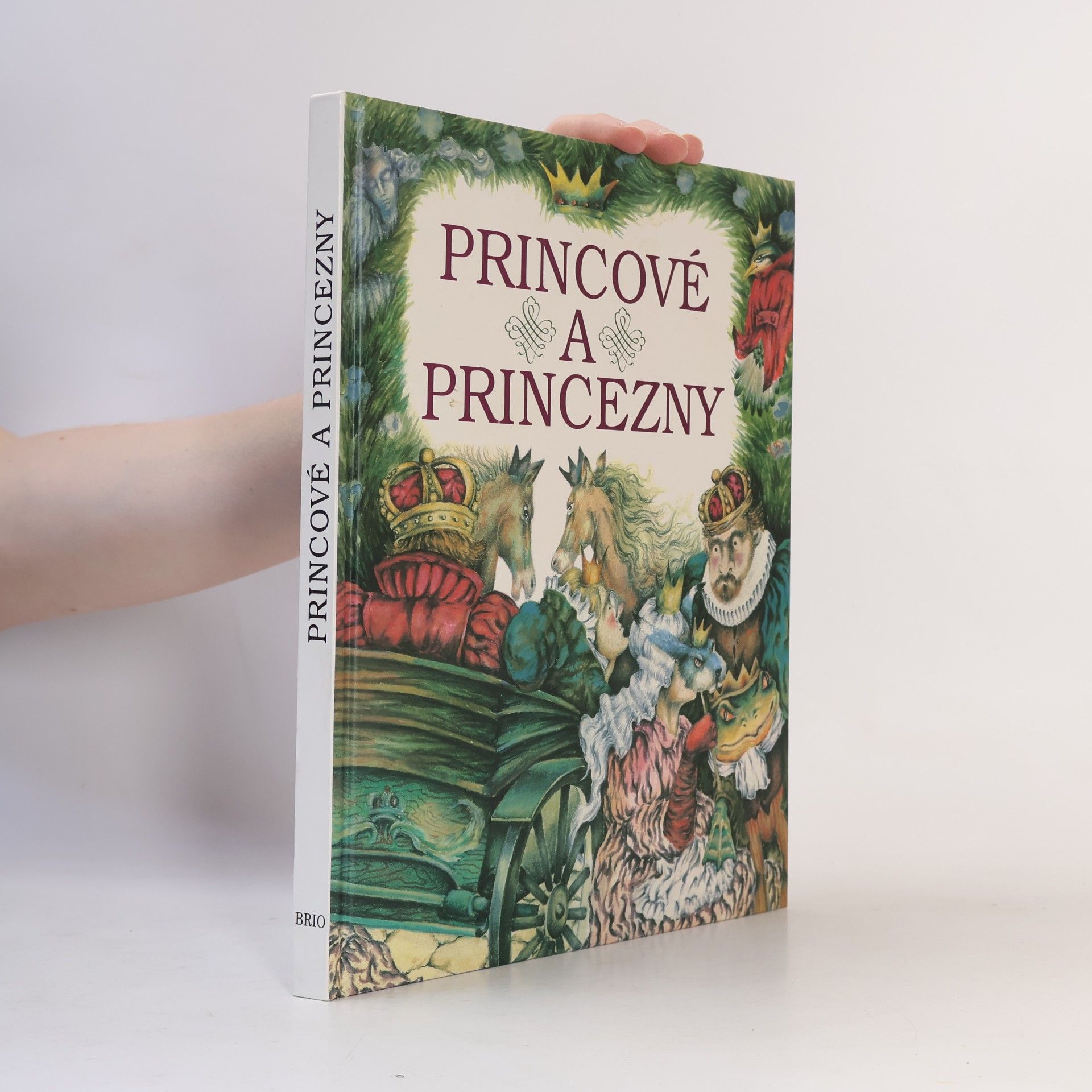 Drijverová Martina Princové a princezny