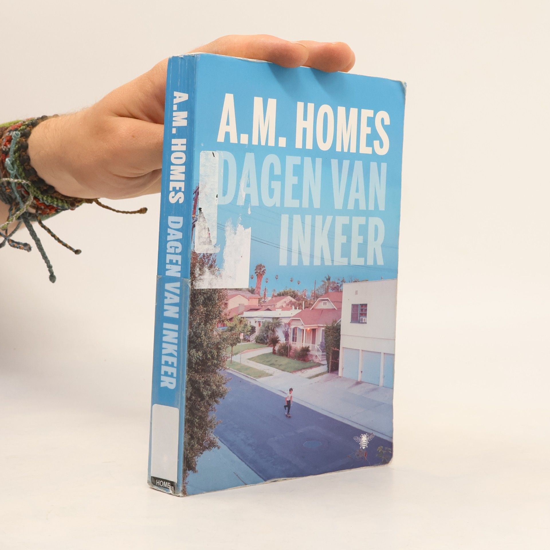 Amy Michael Homes Dagen van inkeer