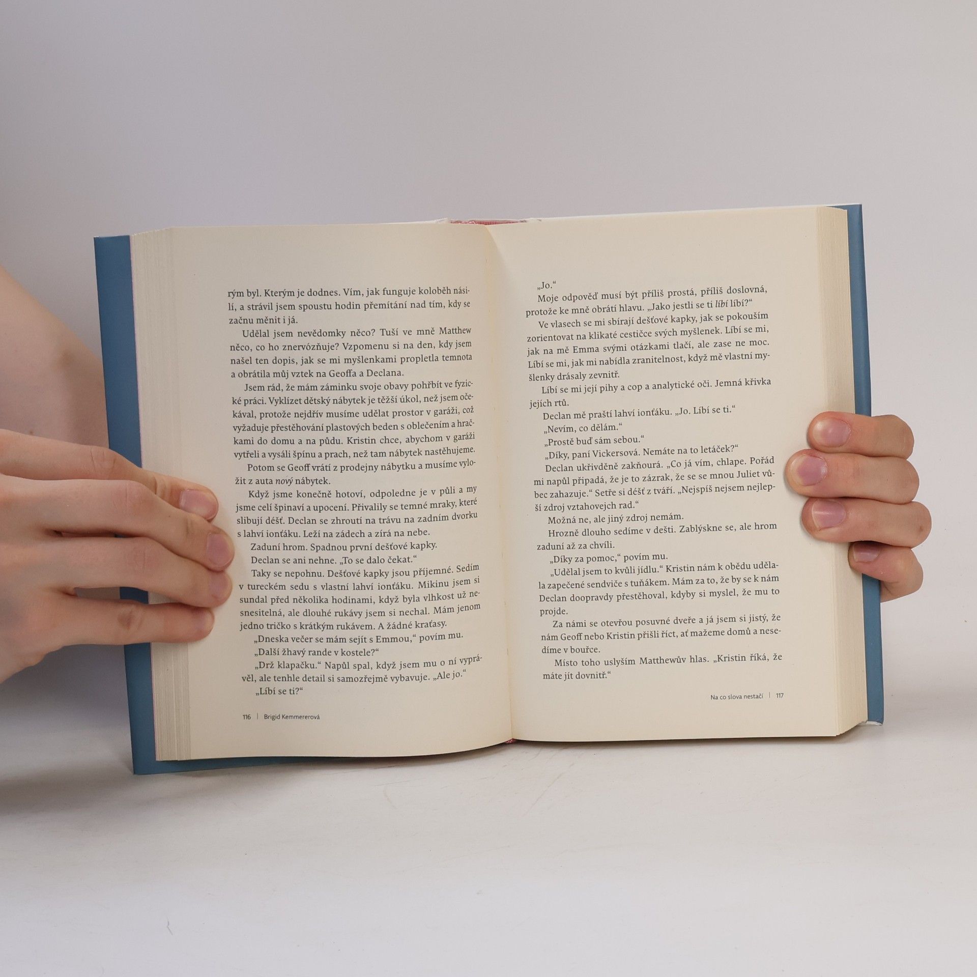 Brigid Kemmerer Na co slova nestačí