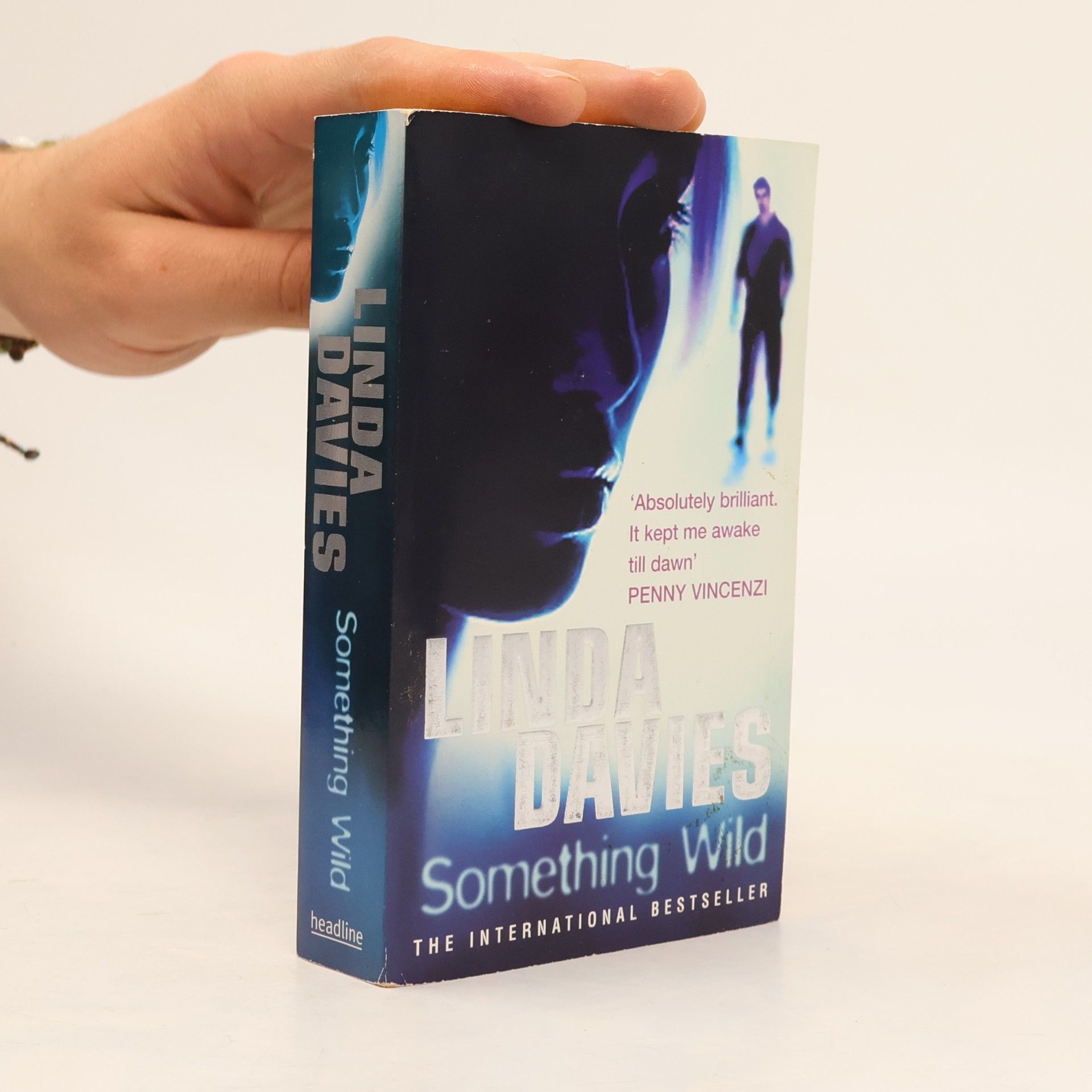 Linda Davies Something Wild
