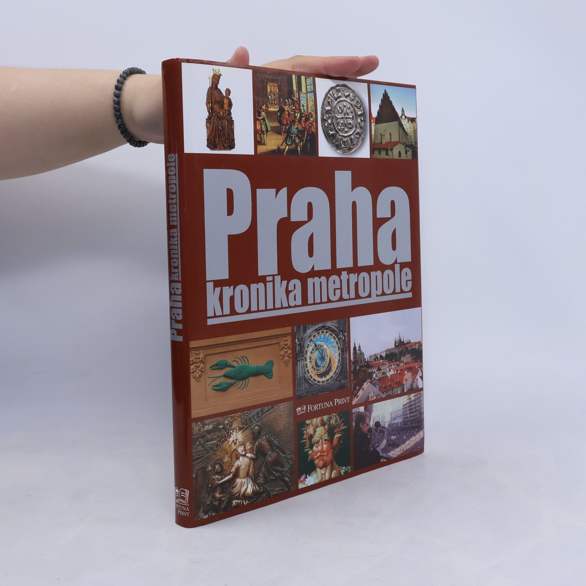 Pavel Bělina Praha : kronika metropole