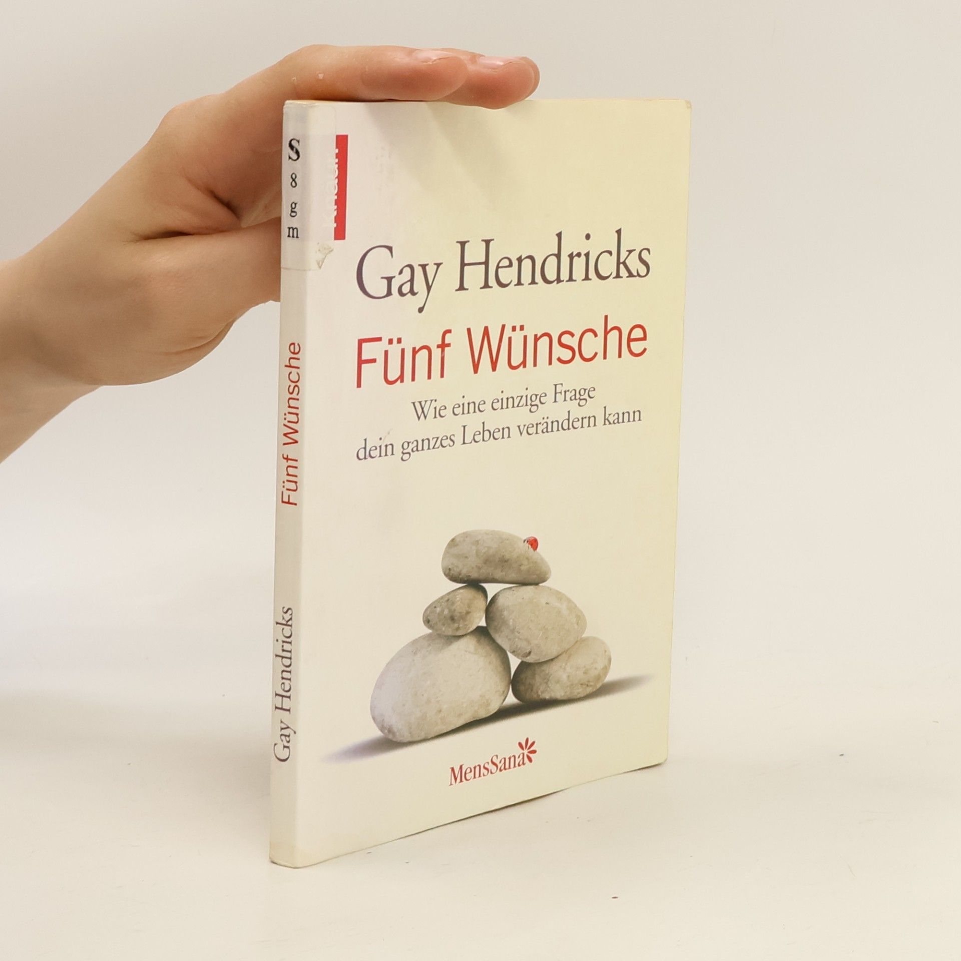Gay Hendricks Fünf Wünsche