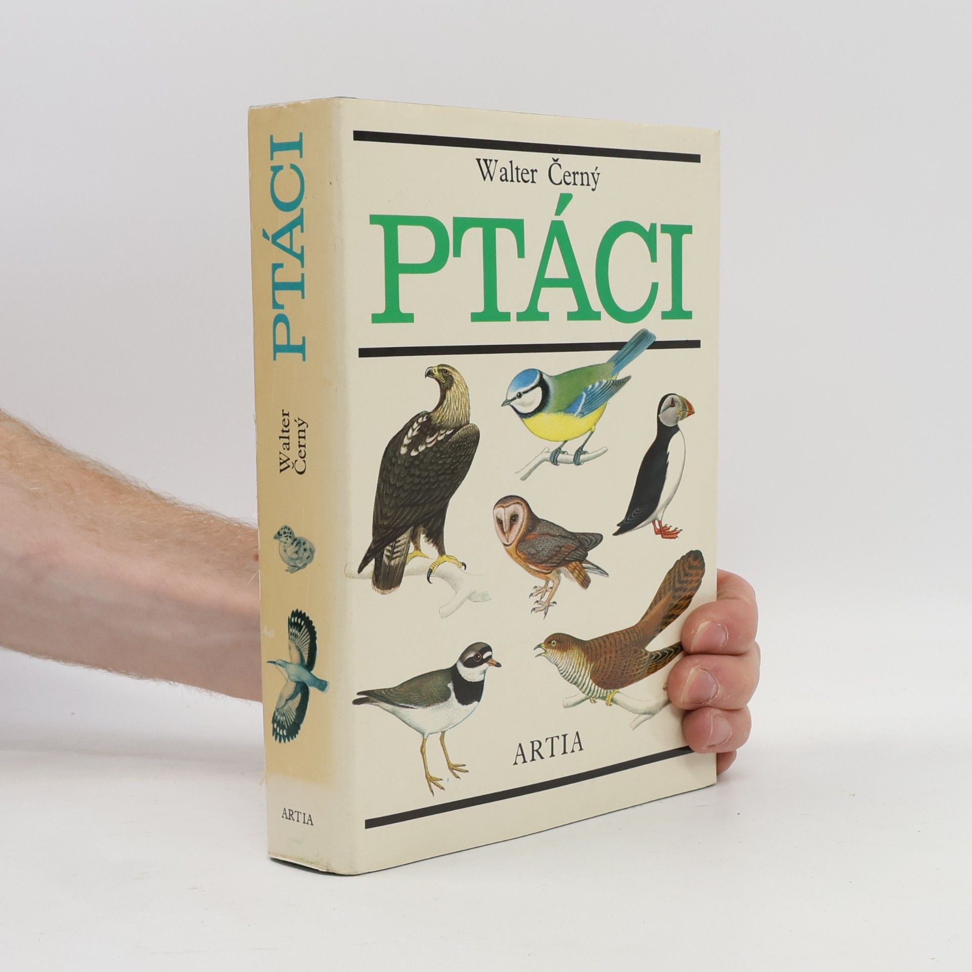 Walter Černý Ptáci