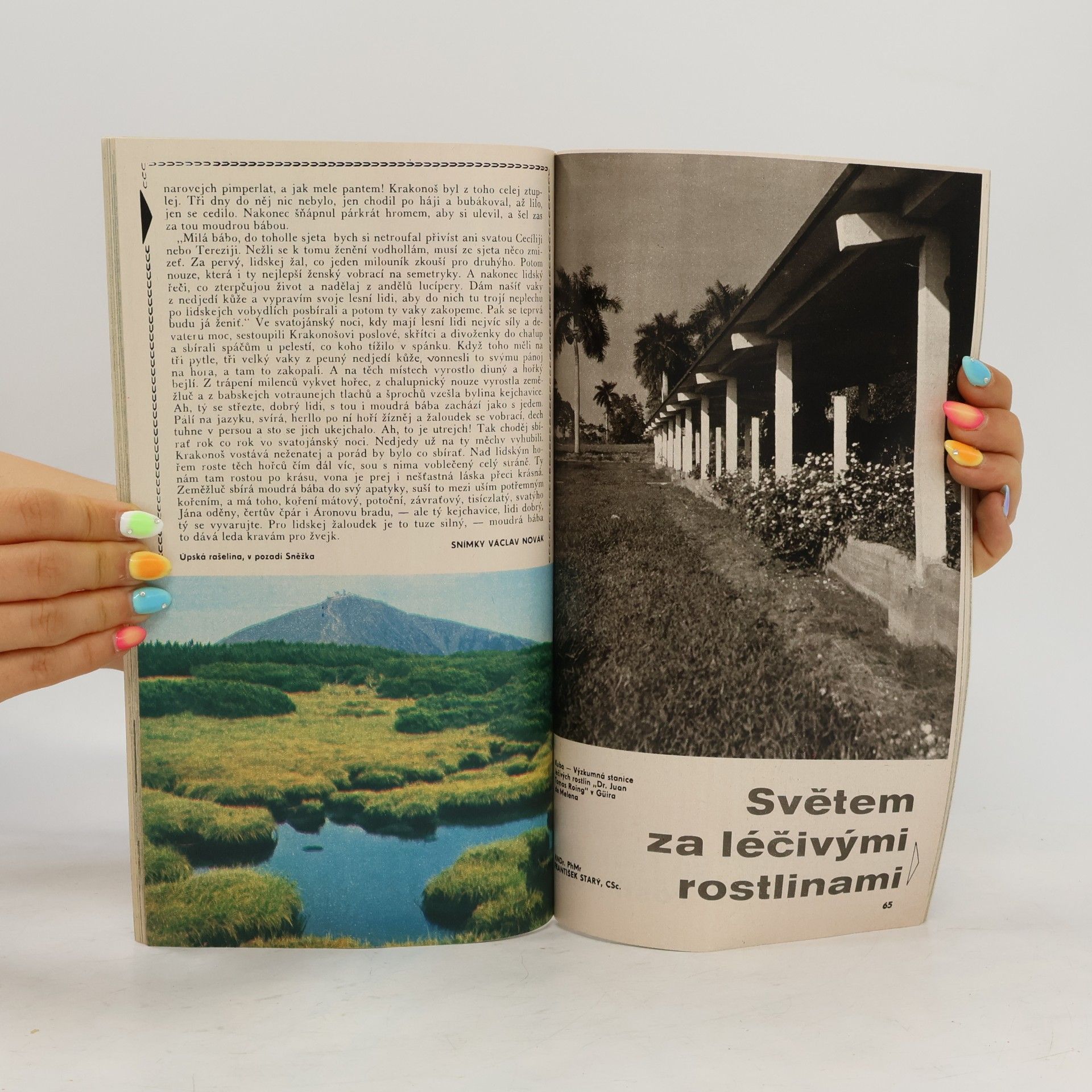 Autorenkollektiv Květy 68