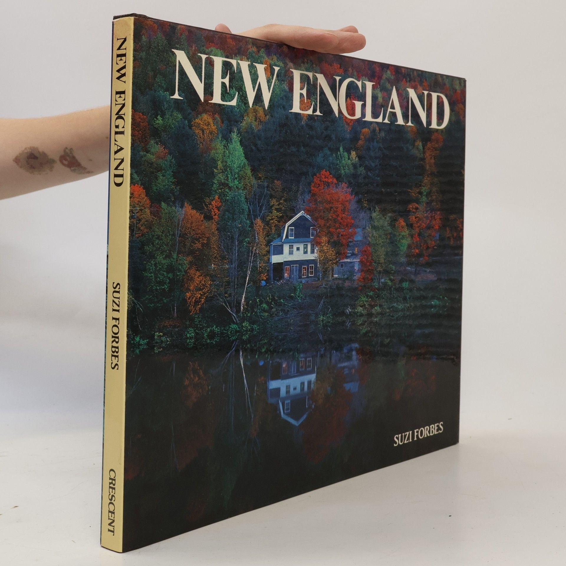 Suzi Forbes New England