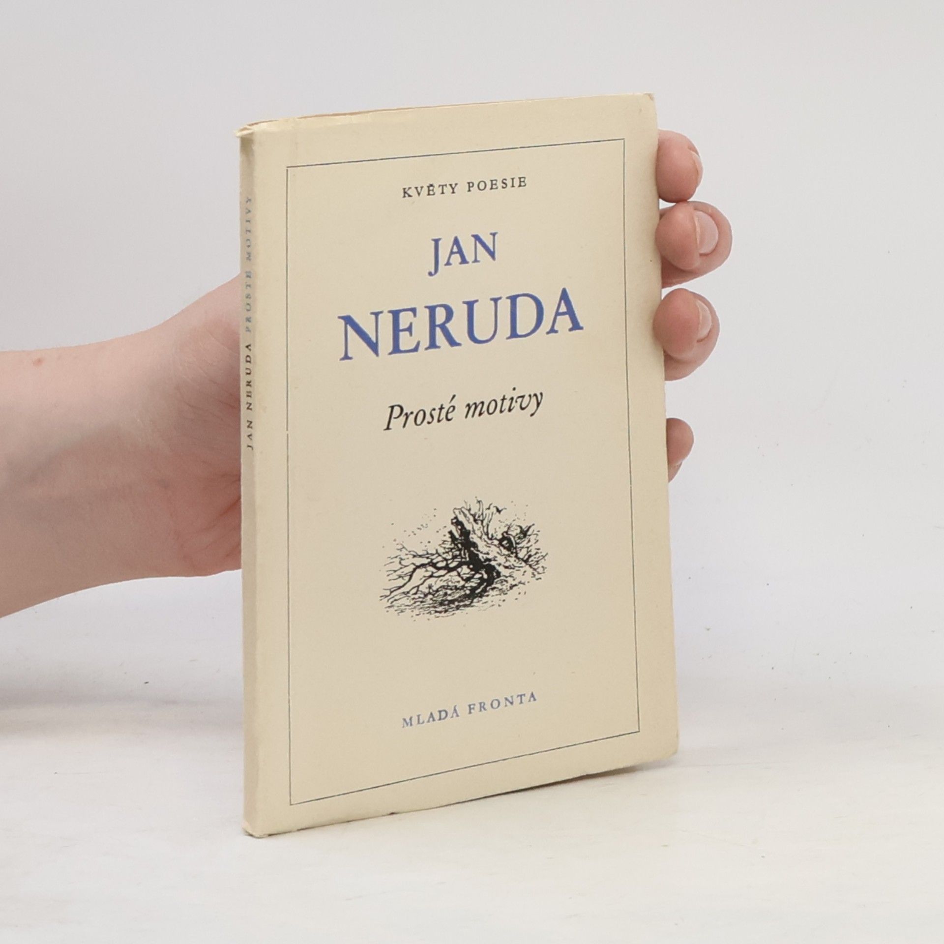Jan Neruda Prosté motivy
