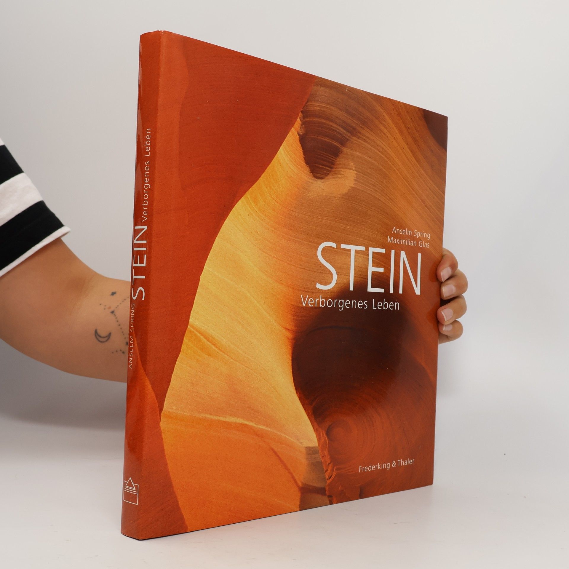 Anselm Spring Stein