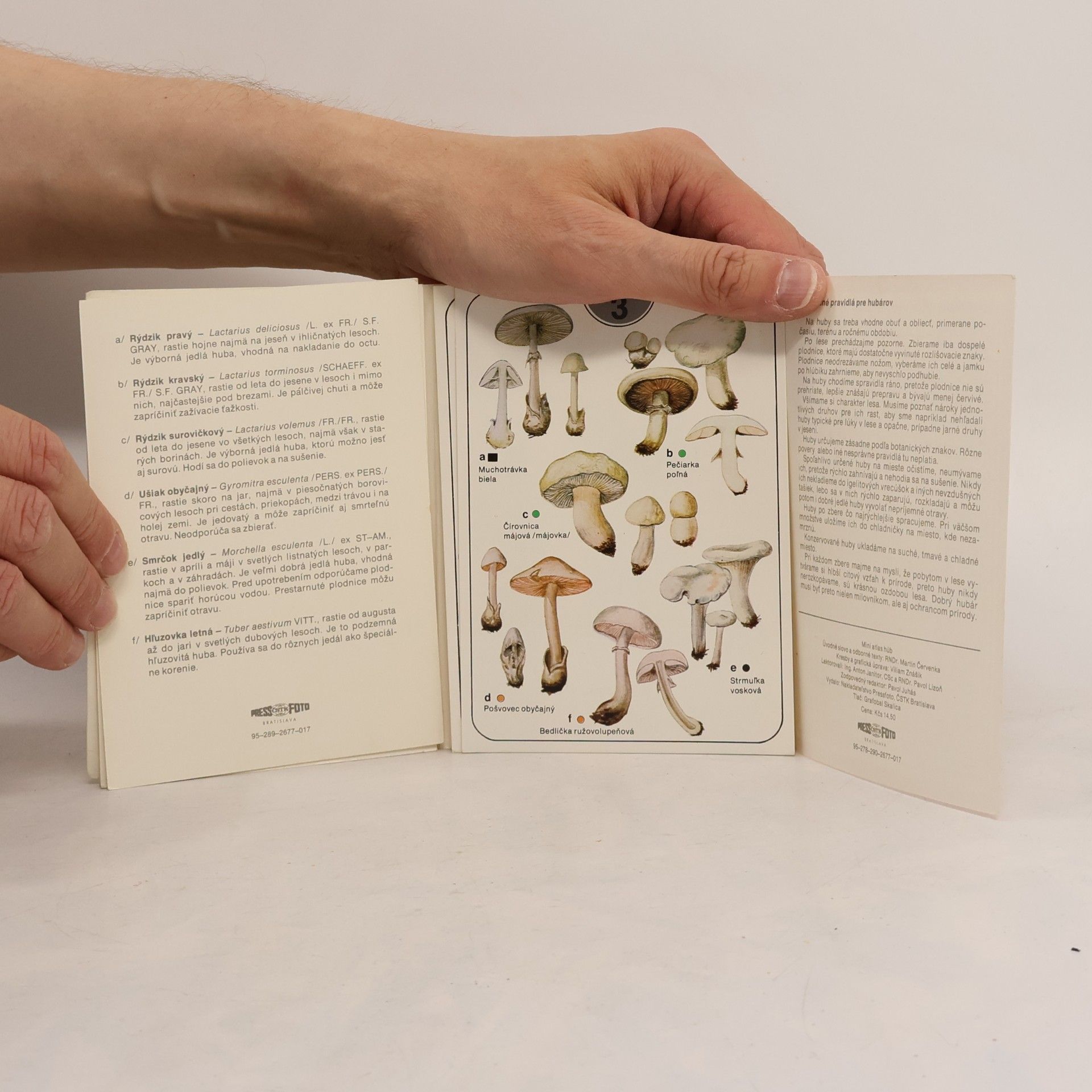 Martin Červenka Mini atlas hub