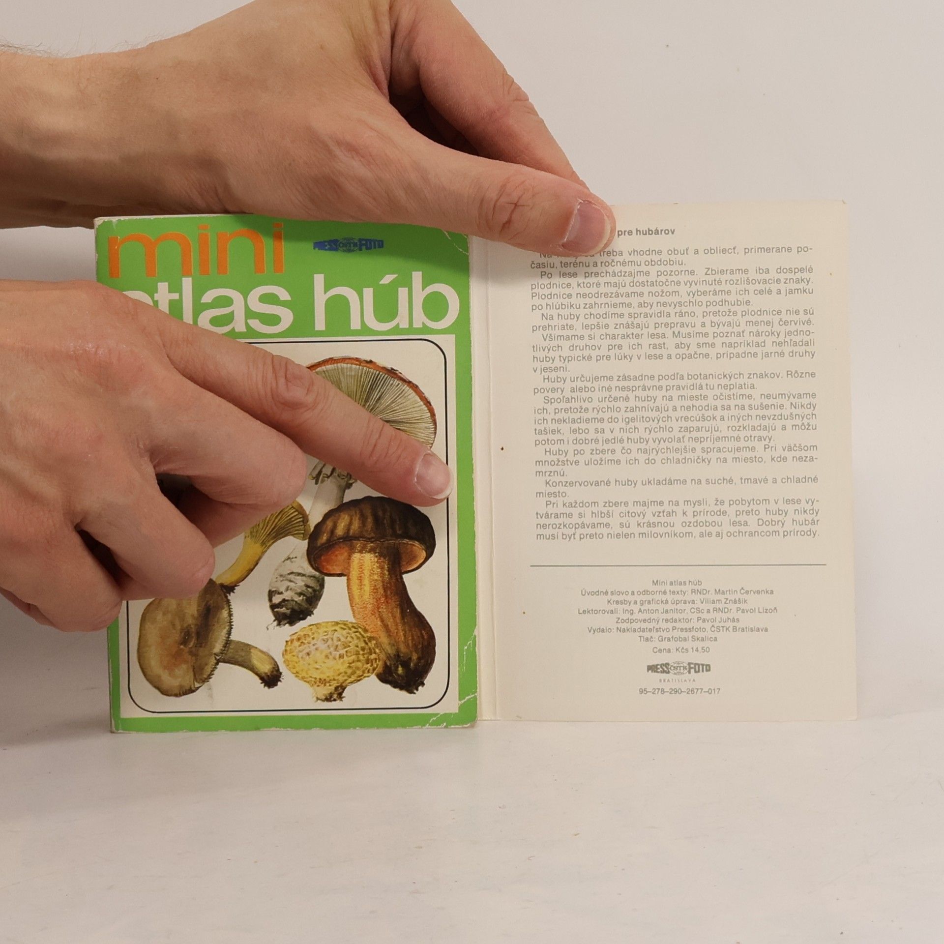 Martin Červenka Mini atlas hub