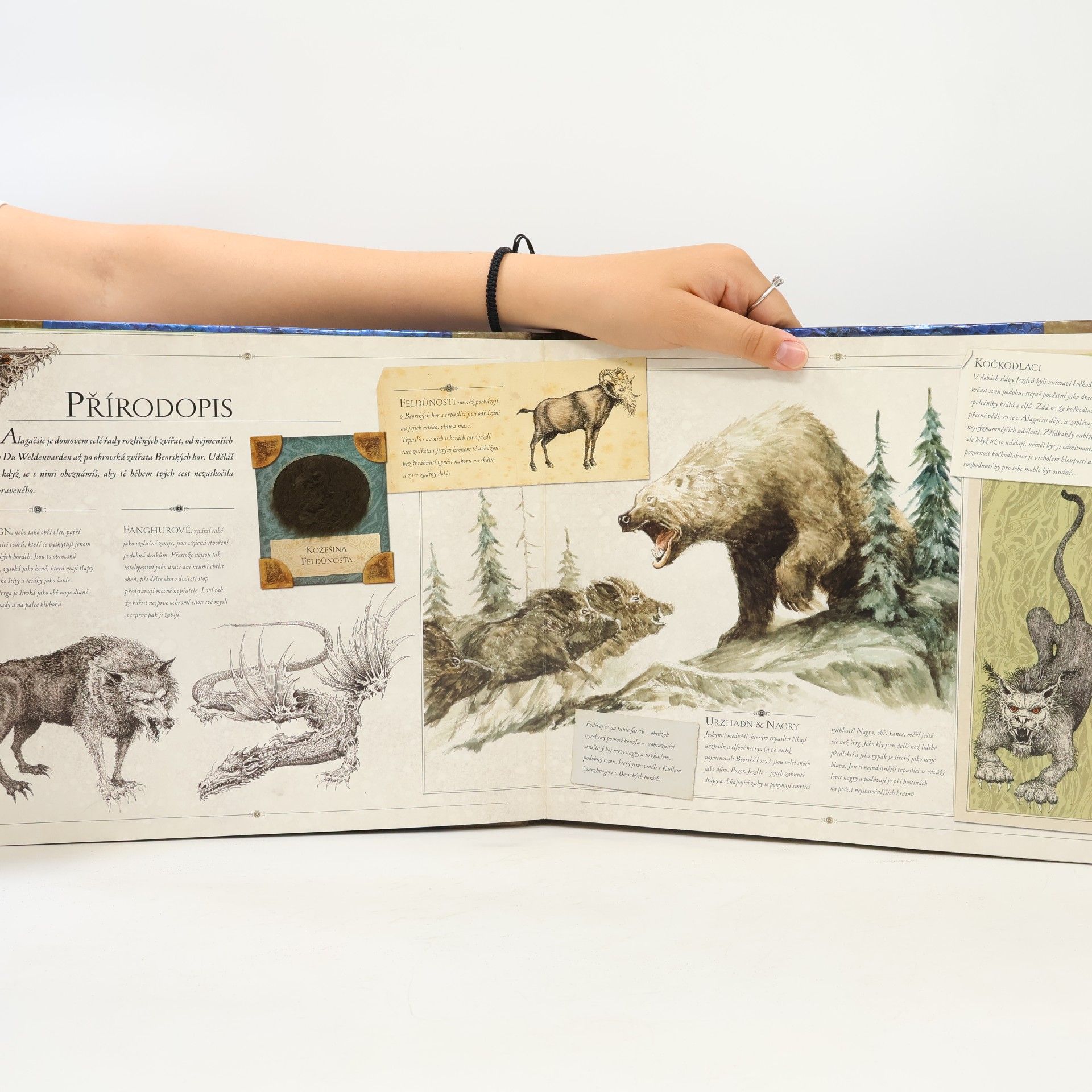 Christopher Paolini Eragon. Průvodce po Alagaësii