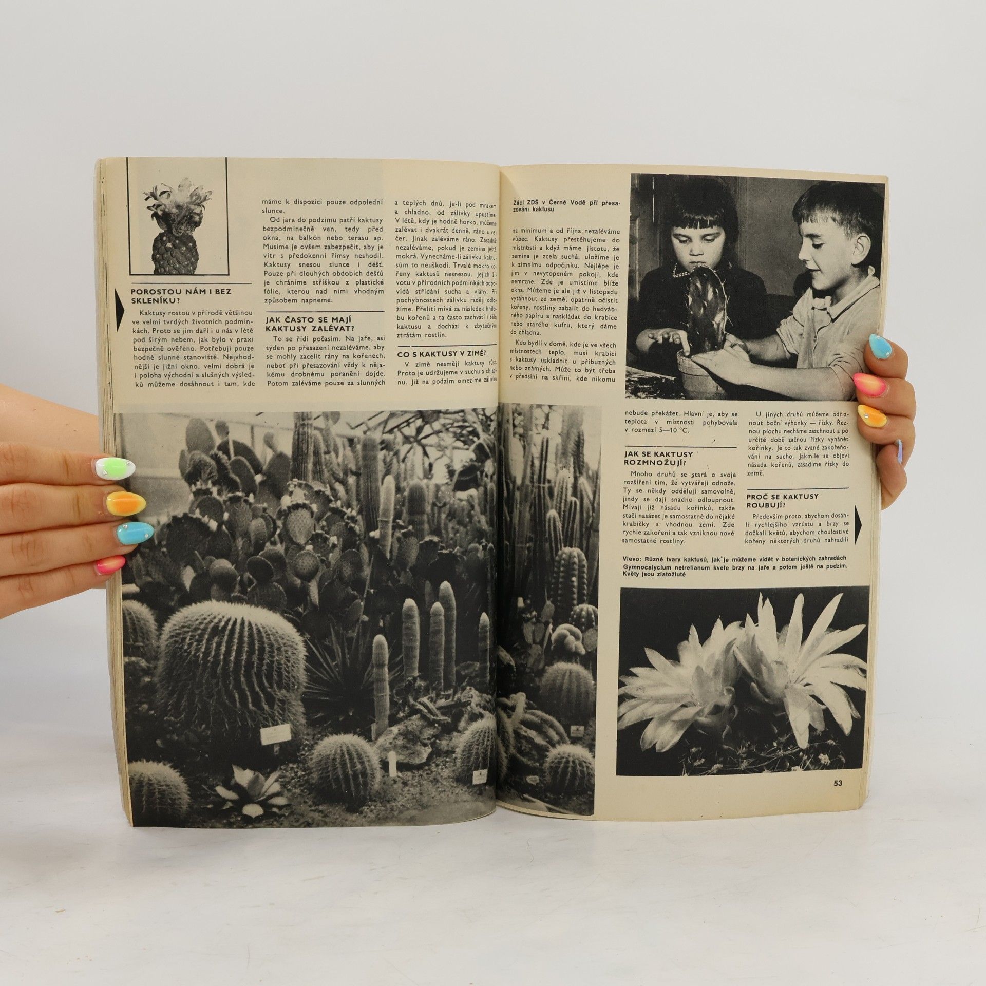 Various authors Hobby 10