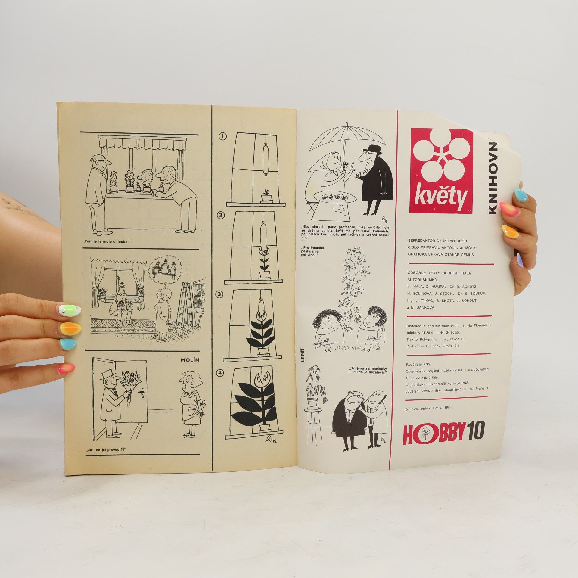 Various authors Hobby 10