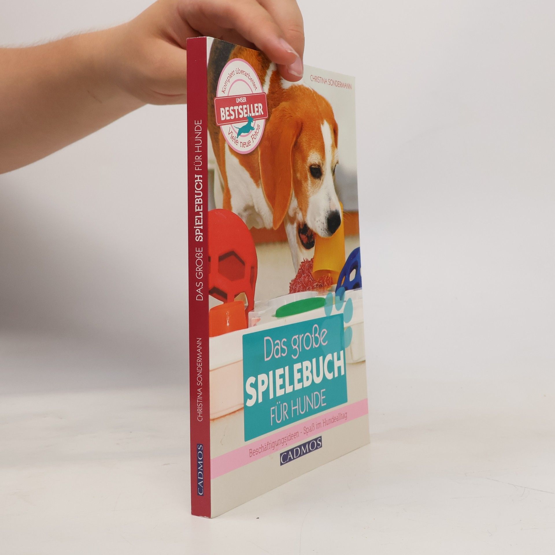 Christina Sondermann Das große Spielebuch für Hunde