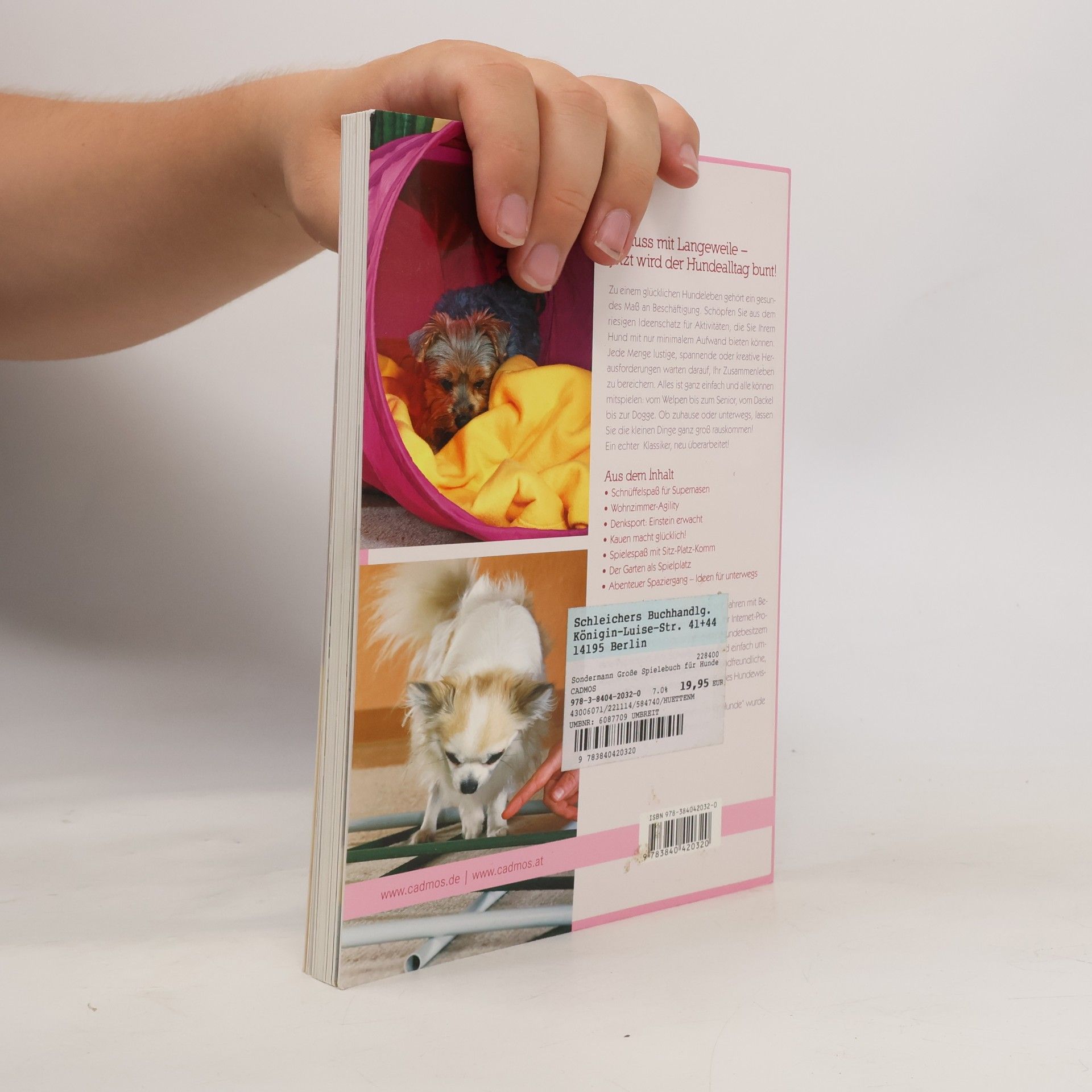 Christina Sondermann Das große Spielebuch für Hunde