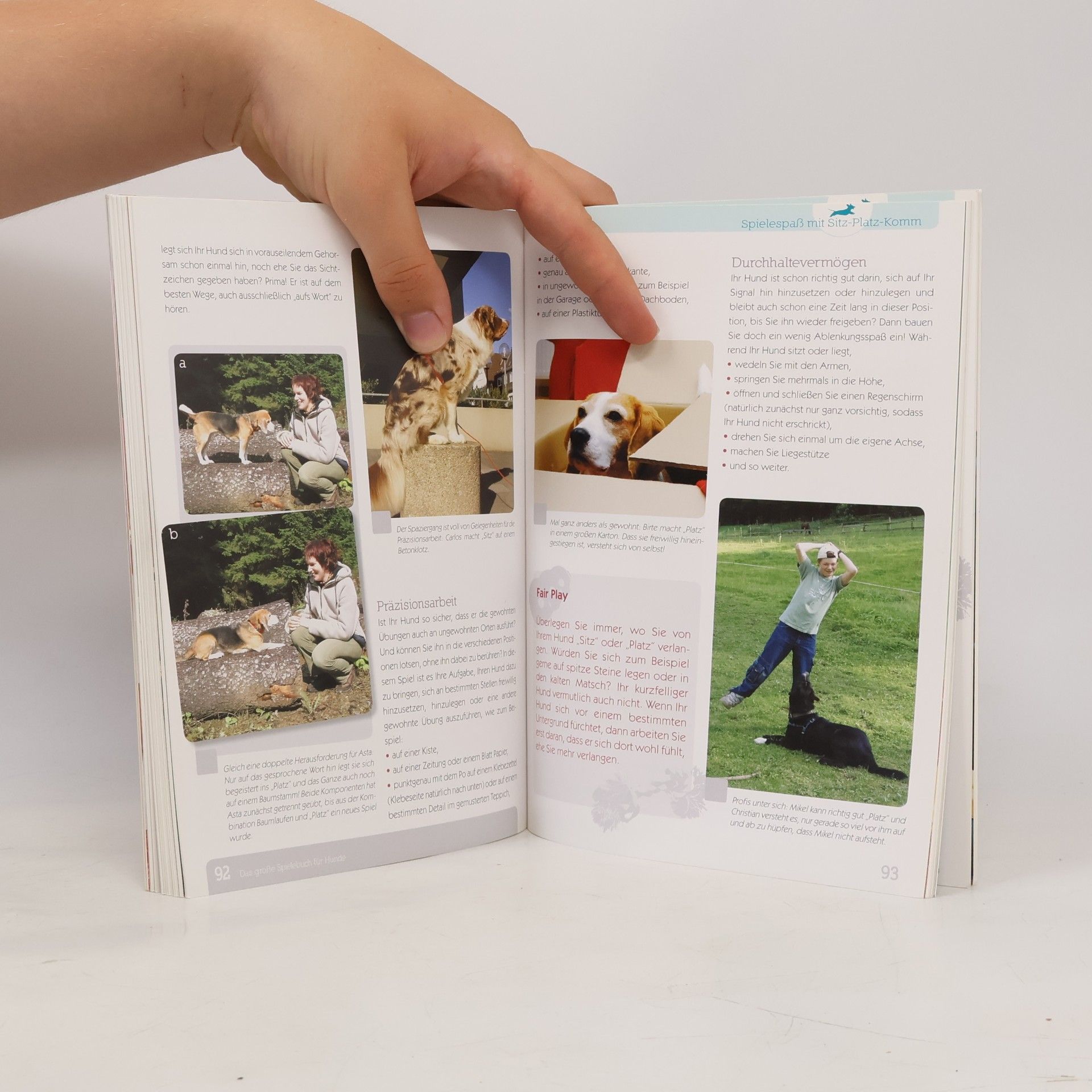 Christina Sondermann Das große Spielebuch für Hunde