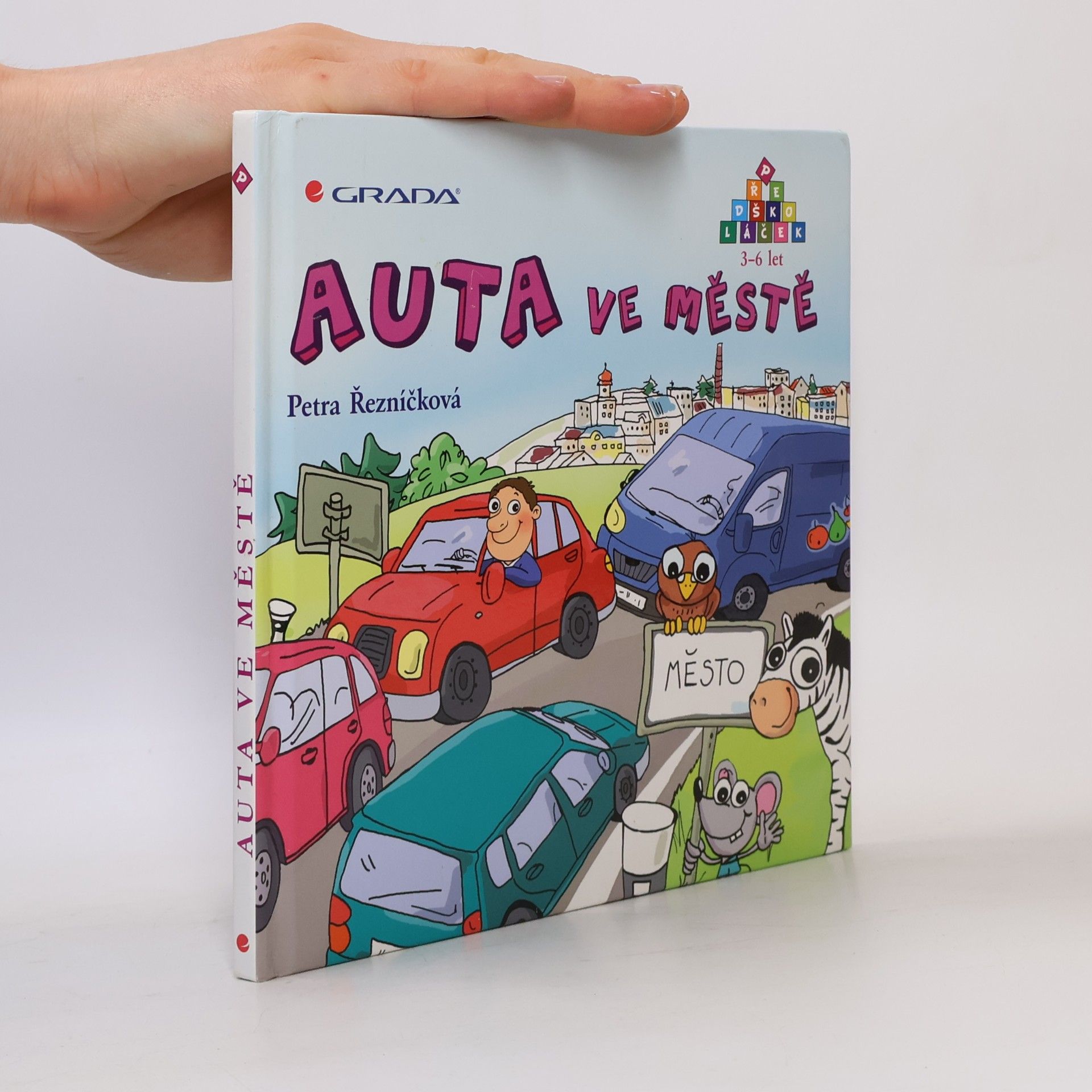 Petra Řezníčková Auta ve městě