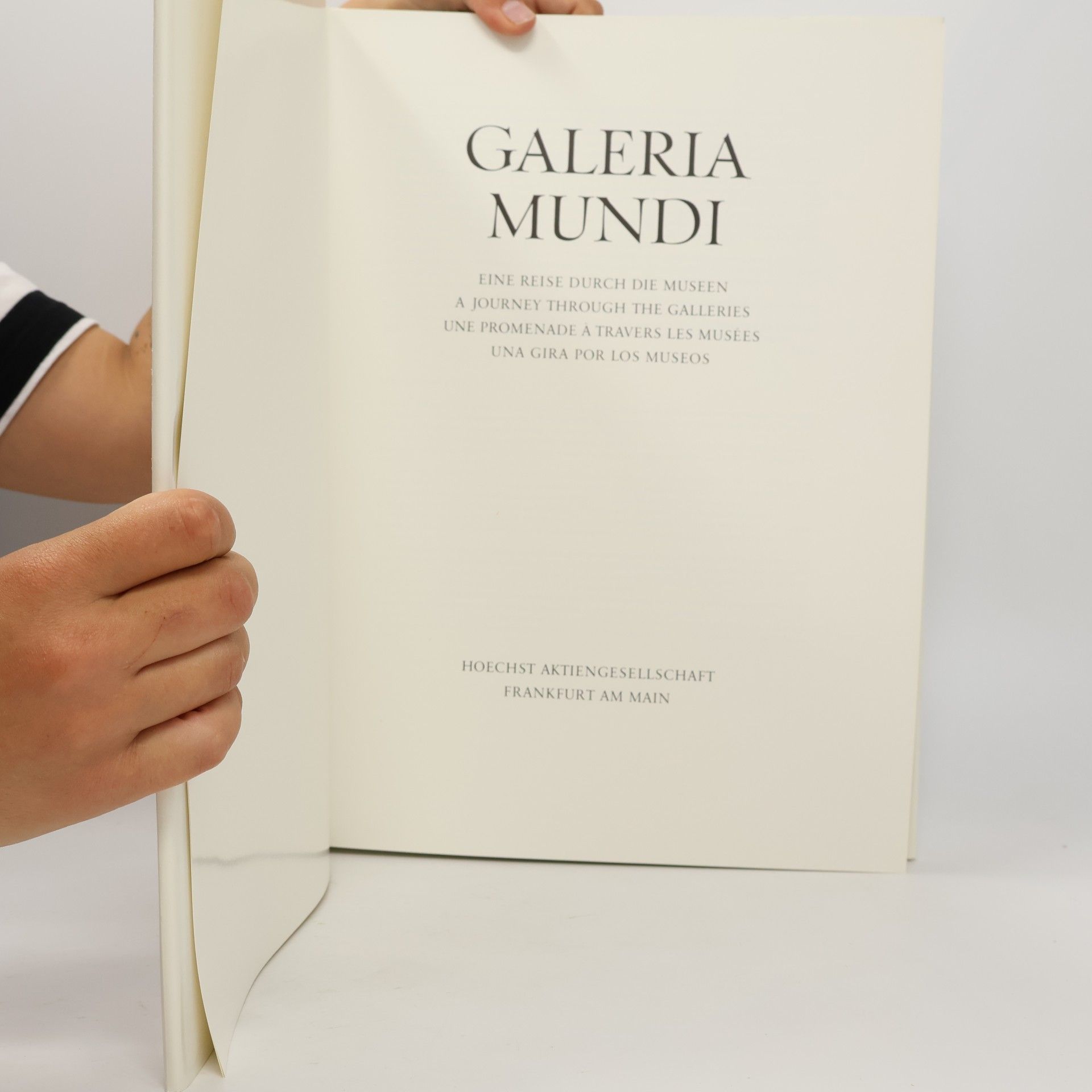 Peter Strieder Galeria Mundi