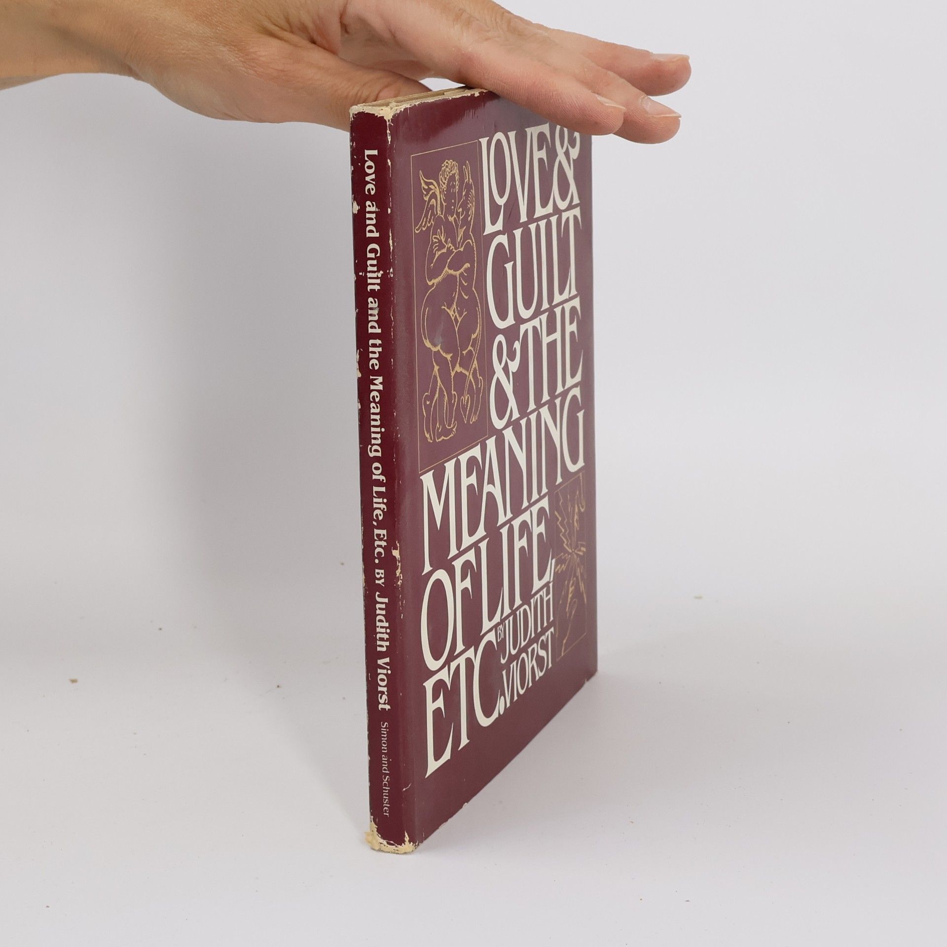 Judith Viorst Love & Guilt & the Meaning of Life Etc.