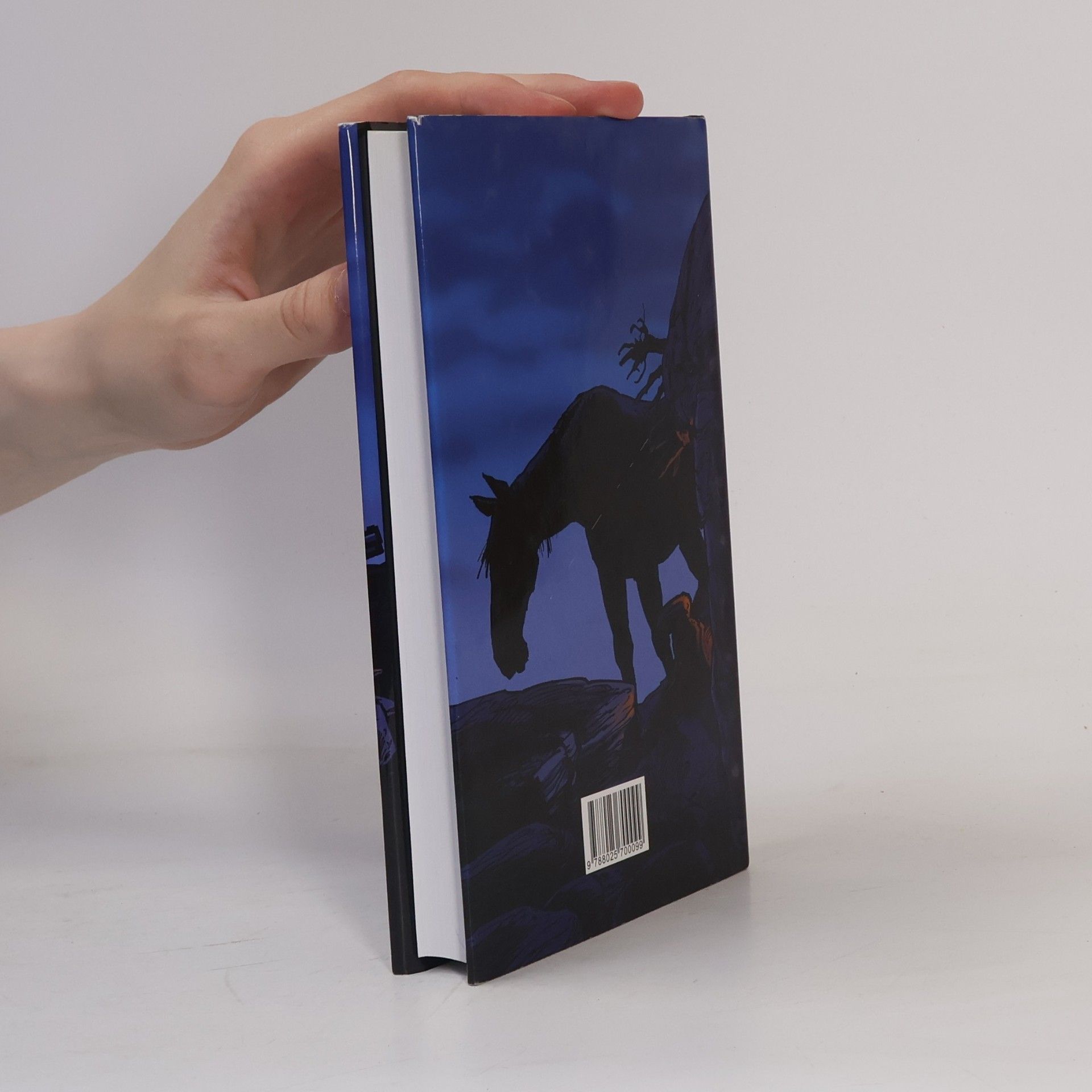 Cormac McCarthy Hranice