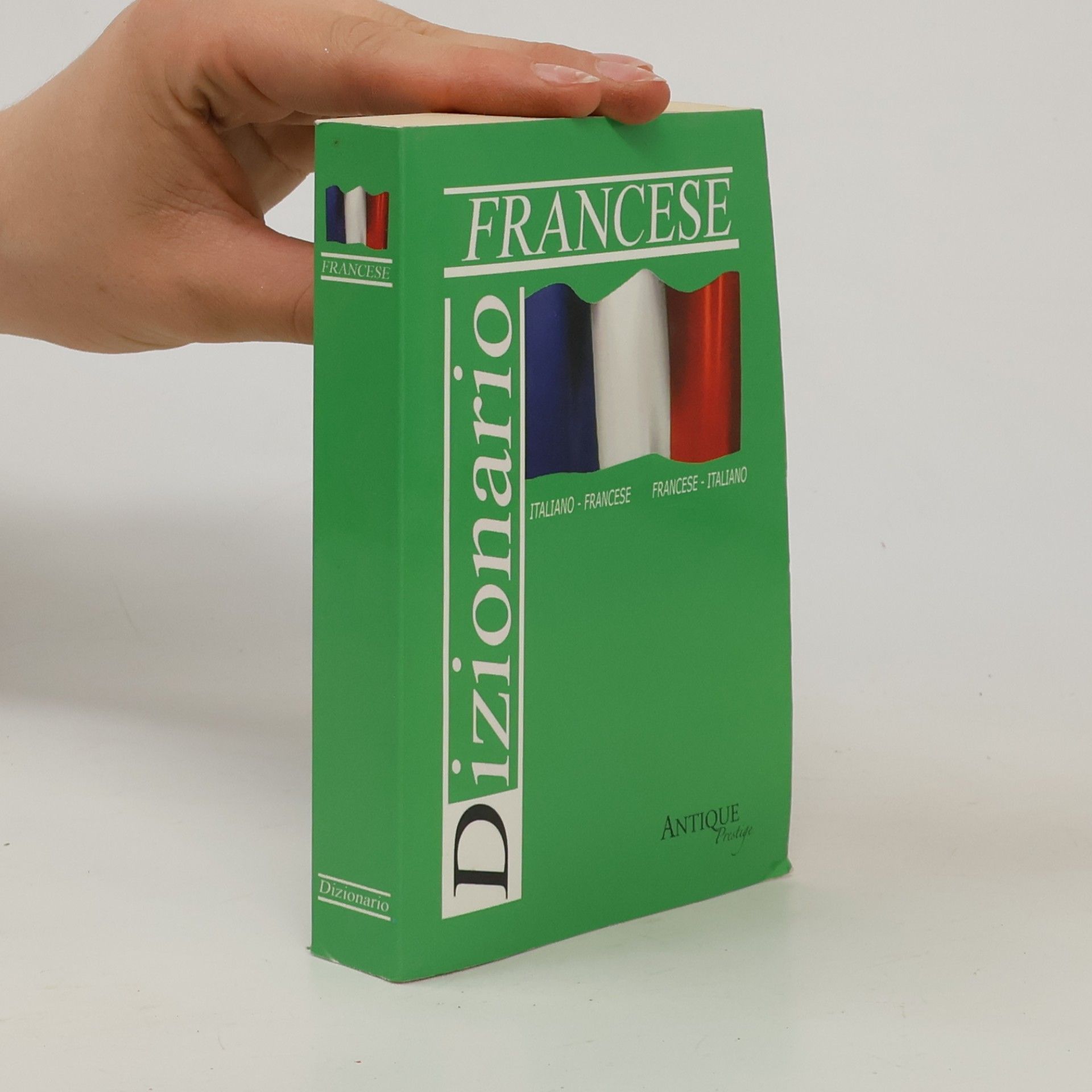 Luisa Cittone Francese Dizionario
