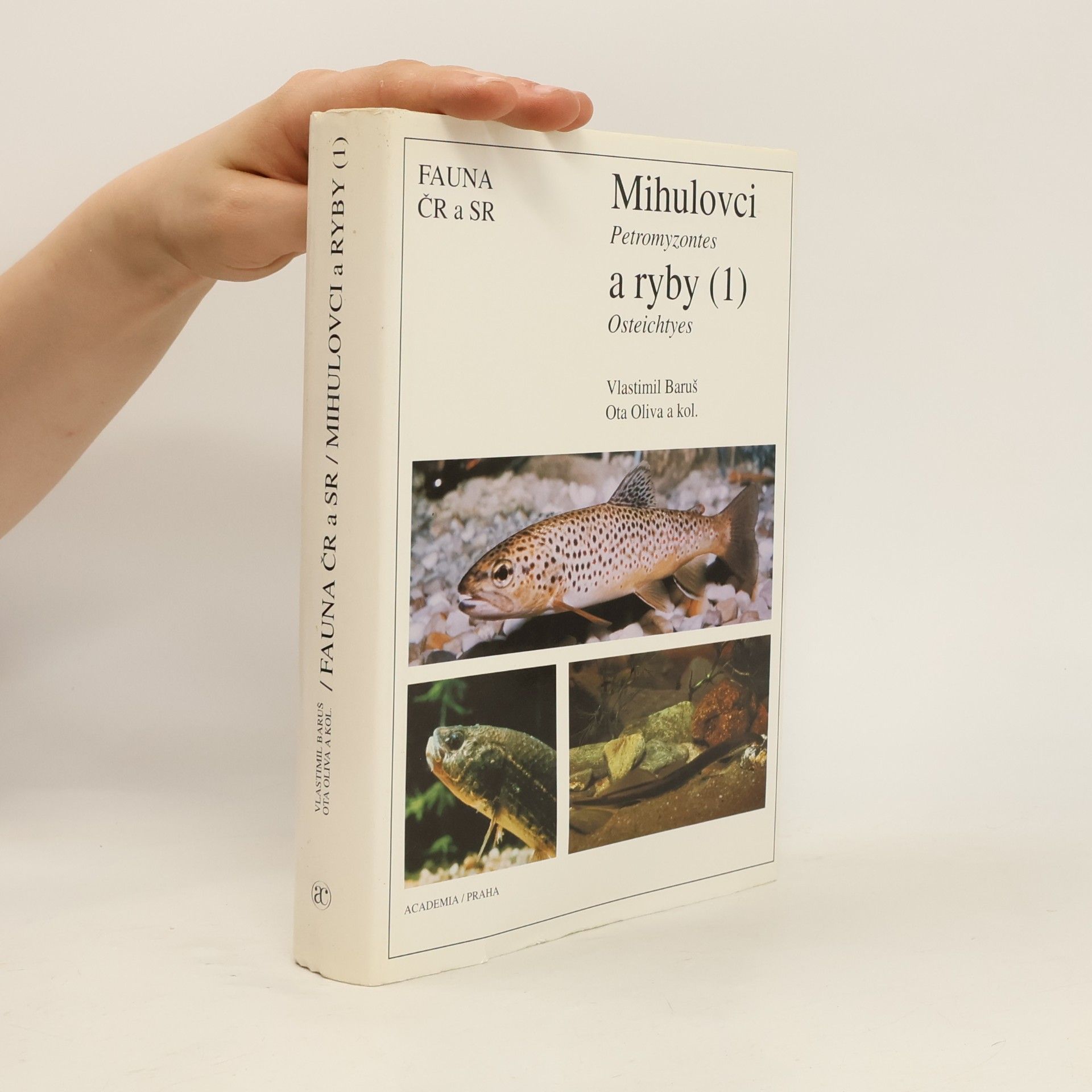 Autorenkollektiv Mihulovci a ryby. 1. díl