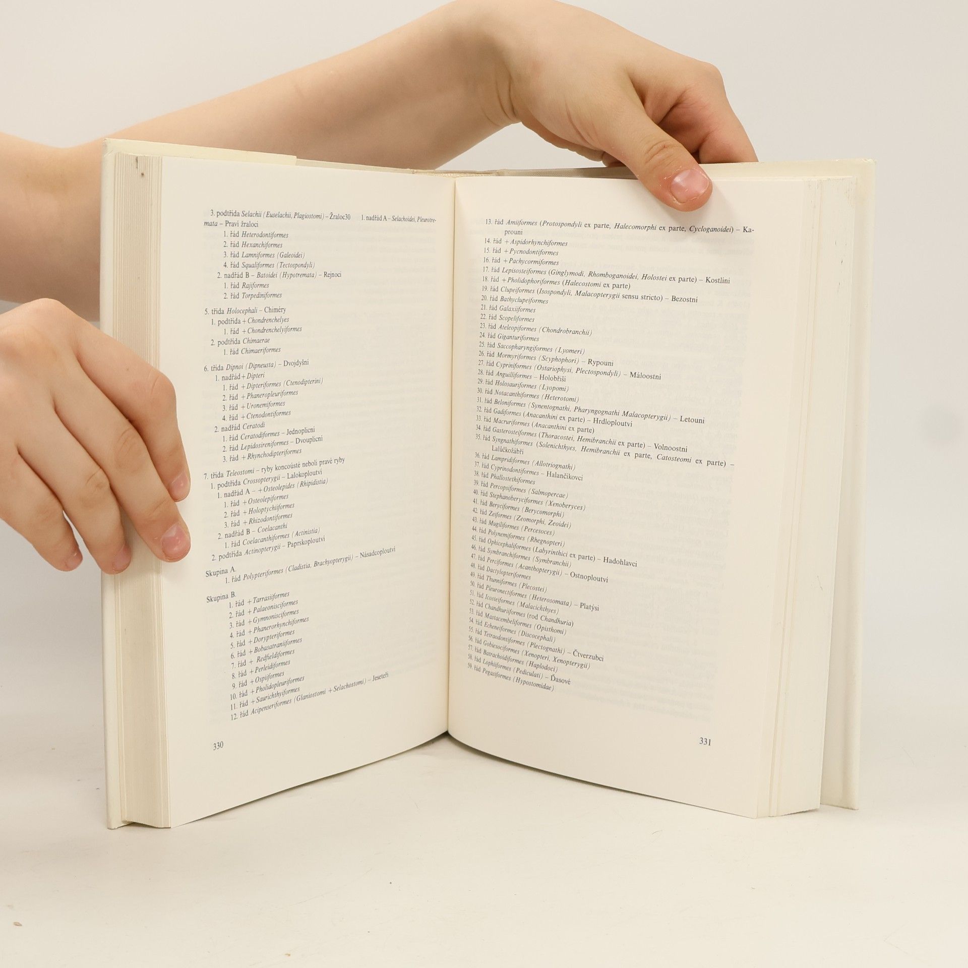 Autorenkollektiv Mihulovci a ryby. 1. díl