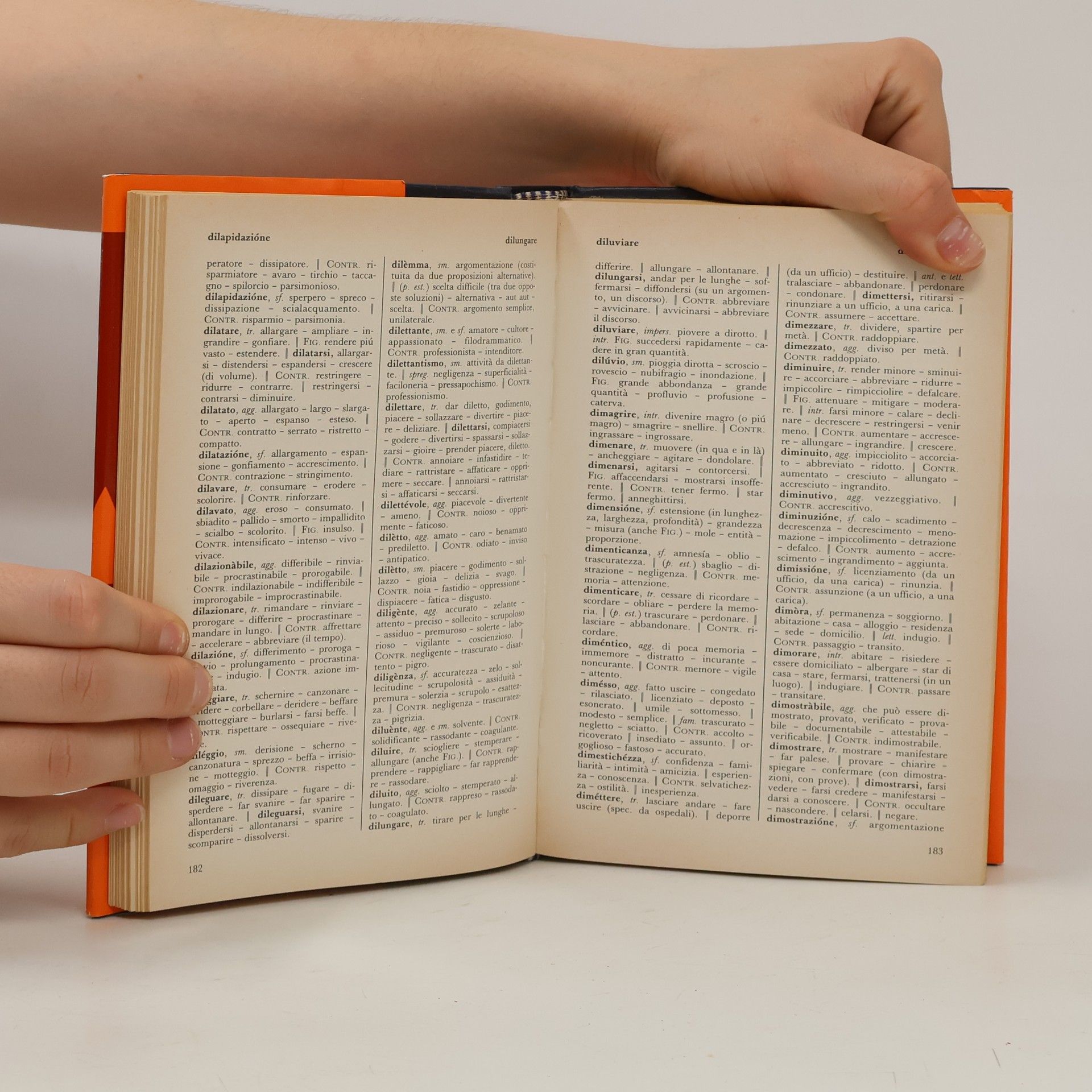 Decio Cinti Dizionario dei sinonimi e dei contrari
