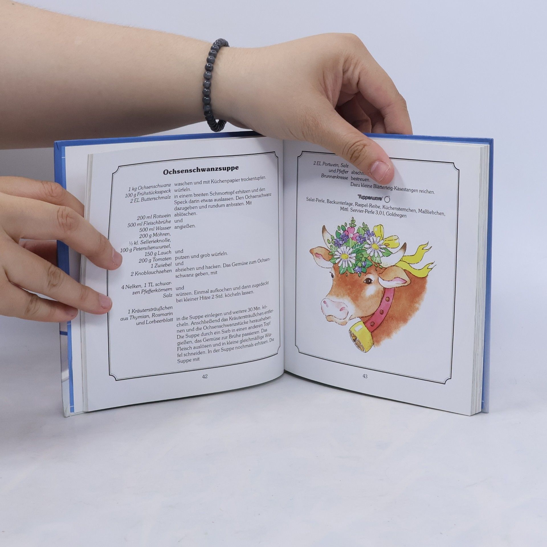 Autorenkollektiv Deutsche Tupperware Schlemmergerichte