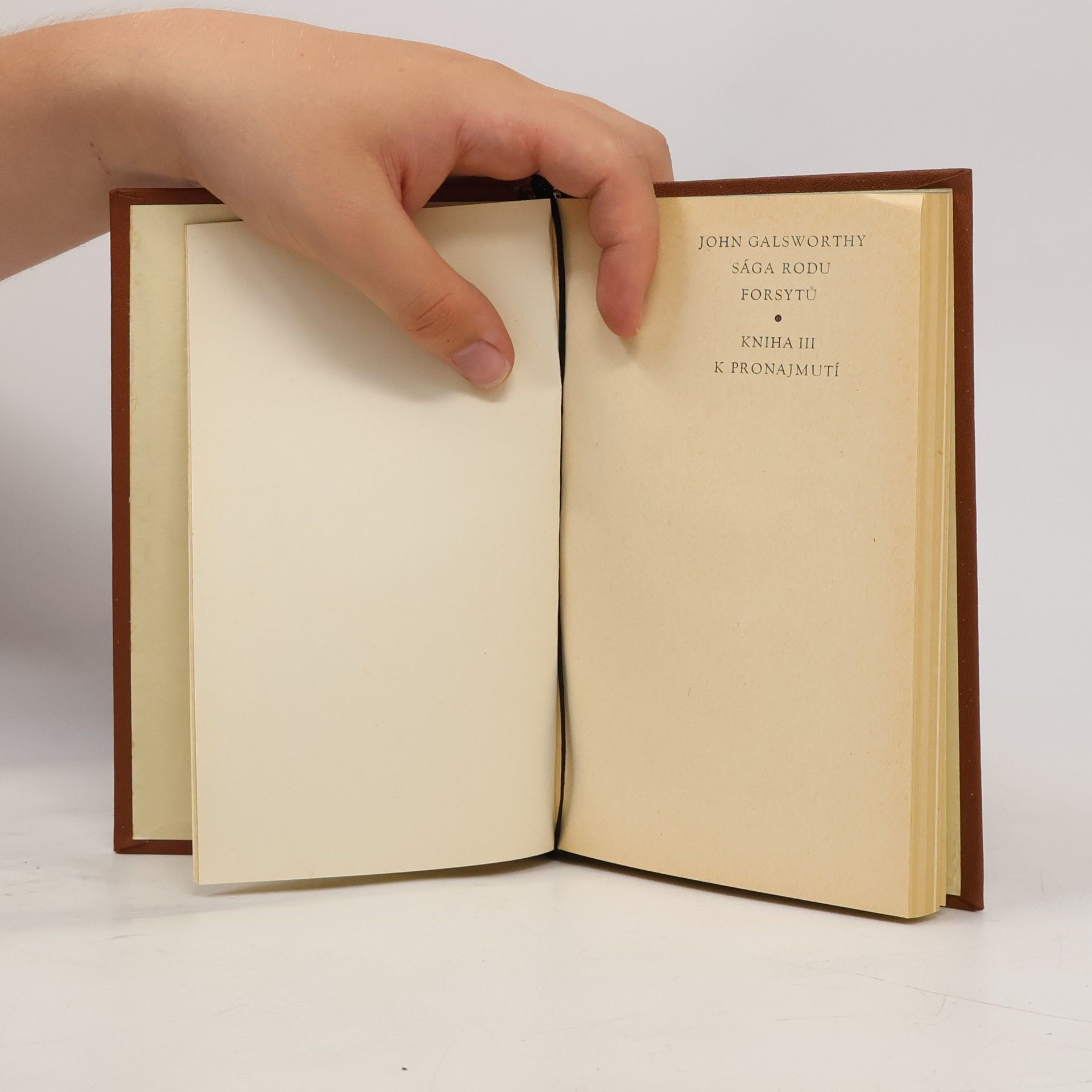 John Galsworthy Sága rodu Forsytů III. K pronajmutí