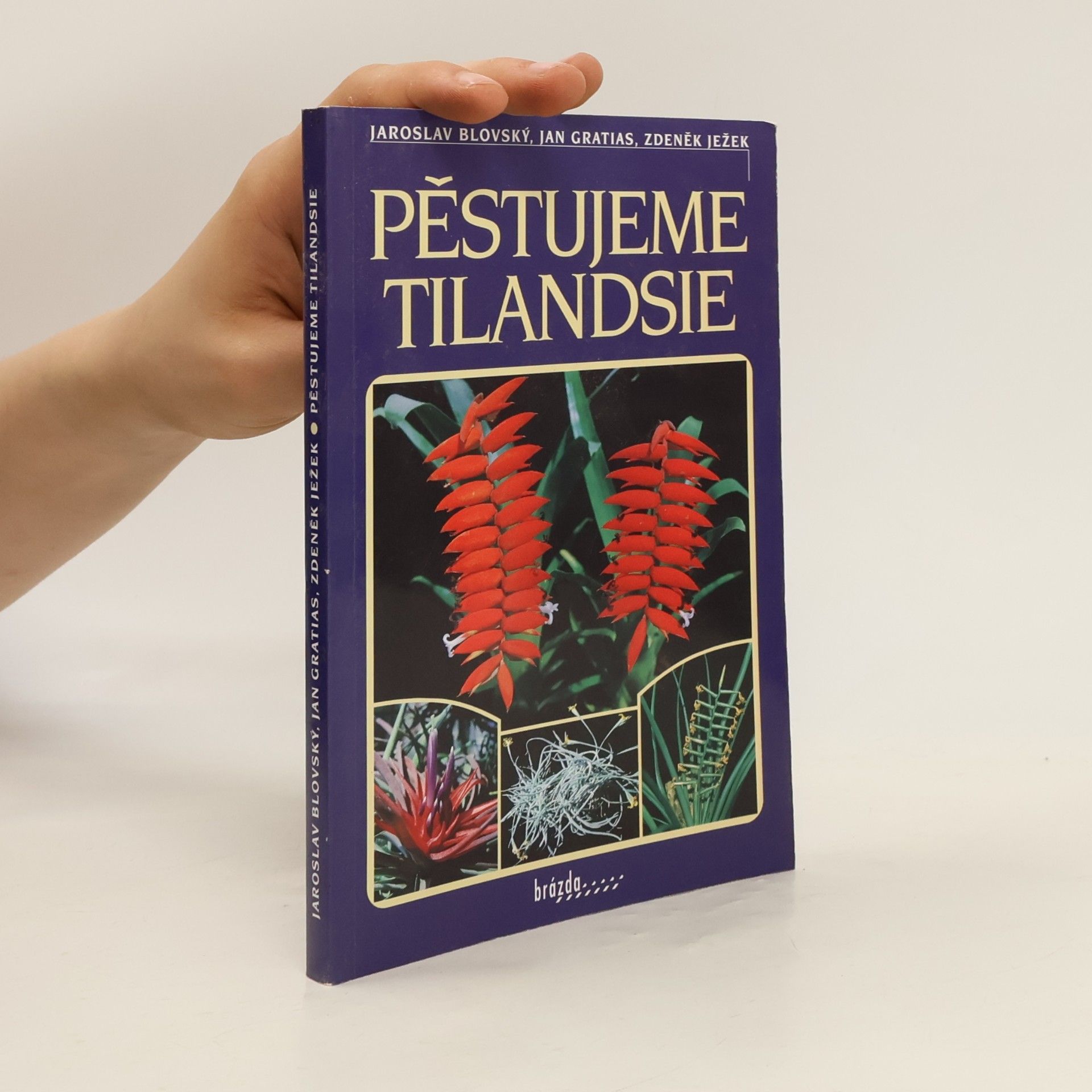 Zdeněk Ježek Pěstujeme tilandsie