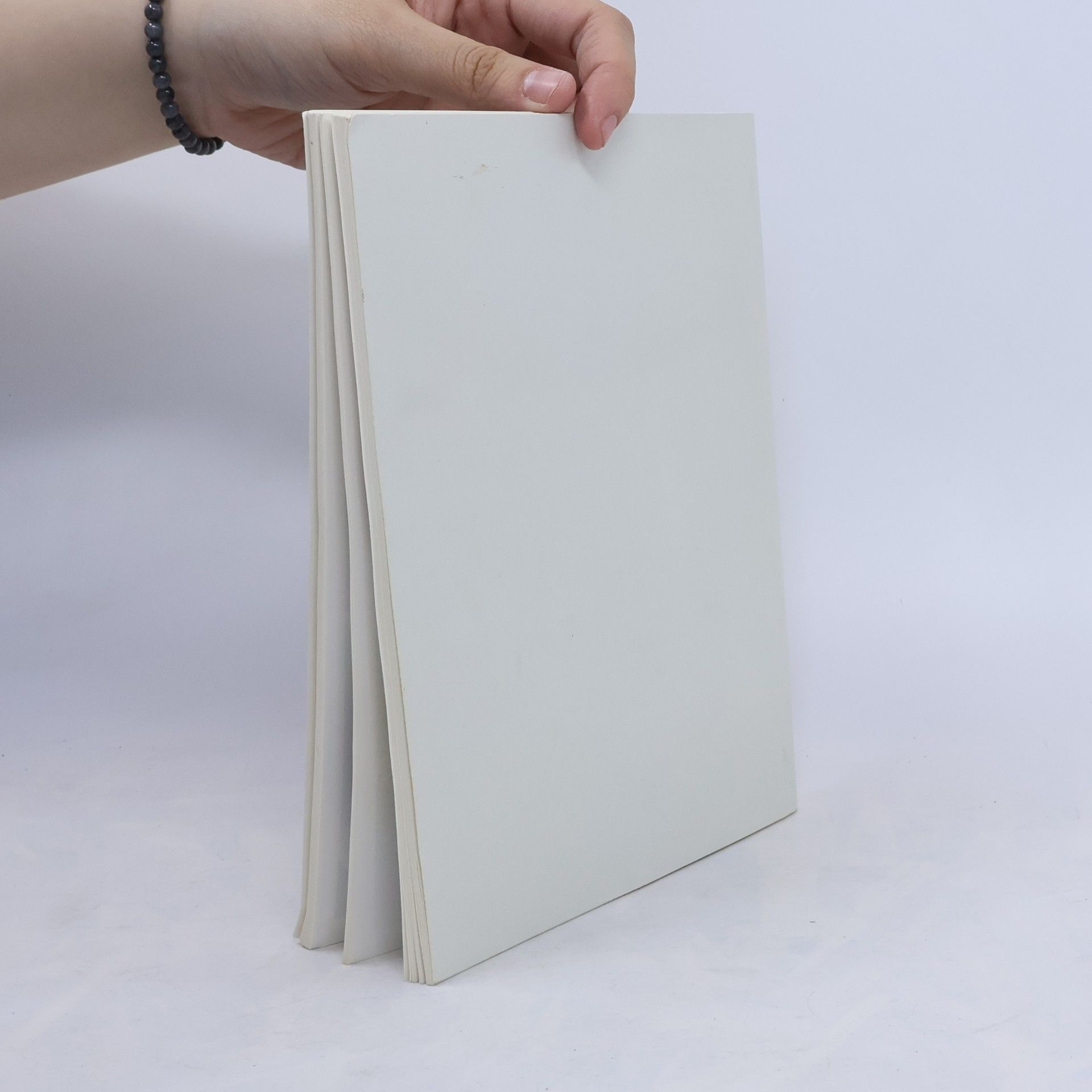 Autorenkollektiv Das Kochbuch zur Braun Multipractic Plus und Multipractic Plus electronic