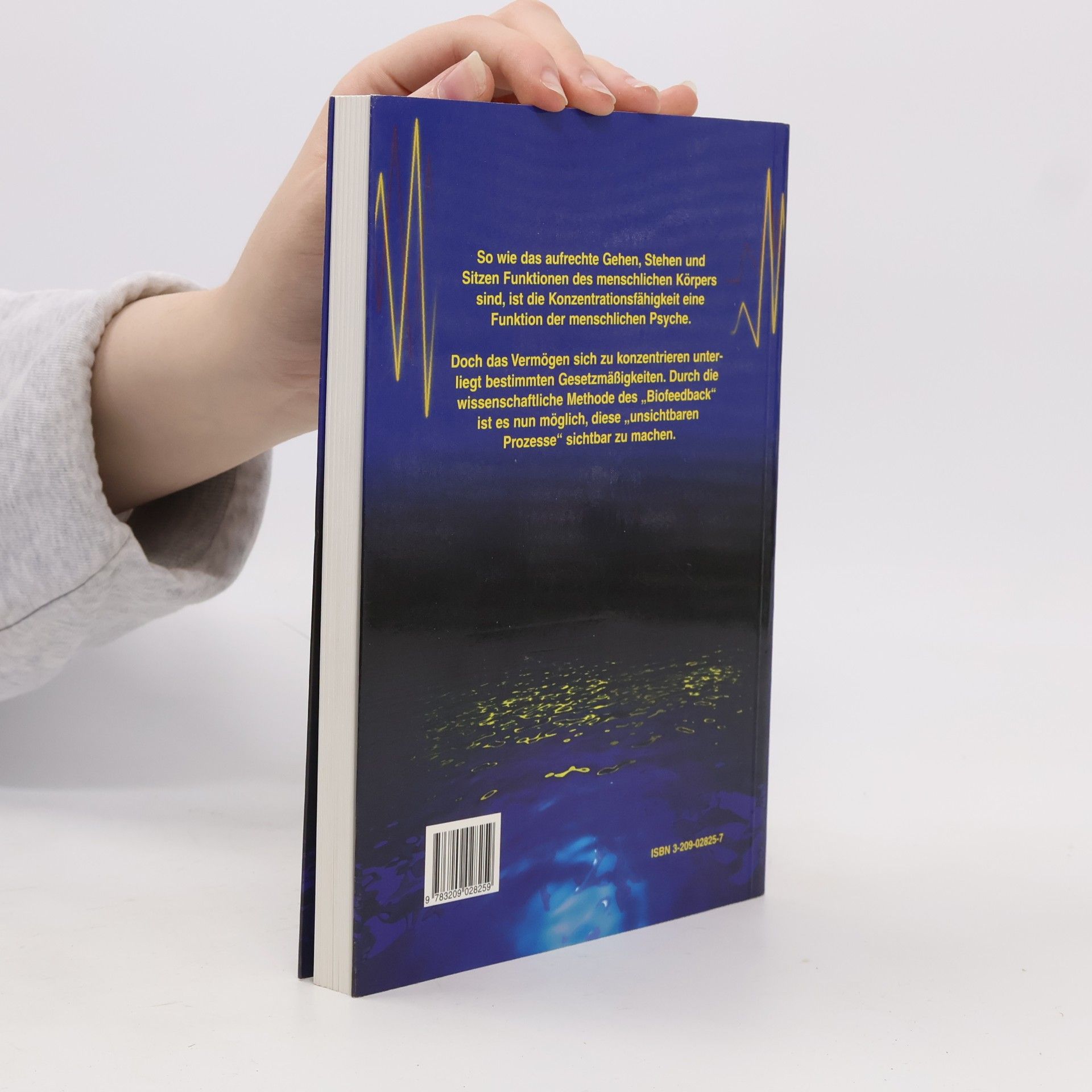 Christina Steiner Mythos Konzentration