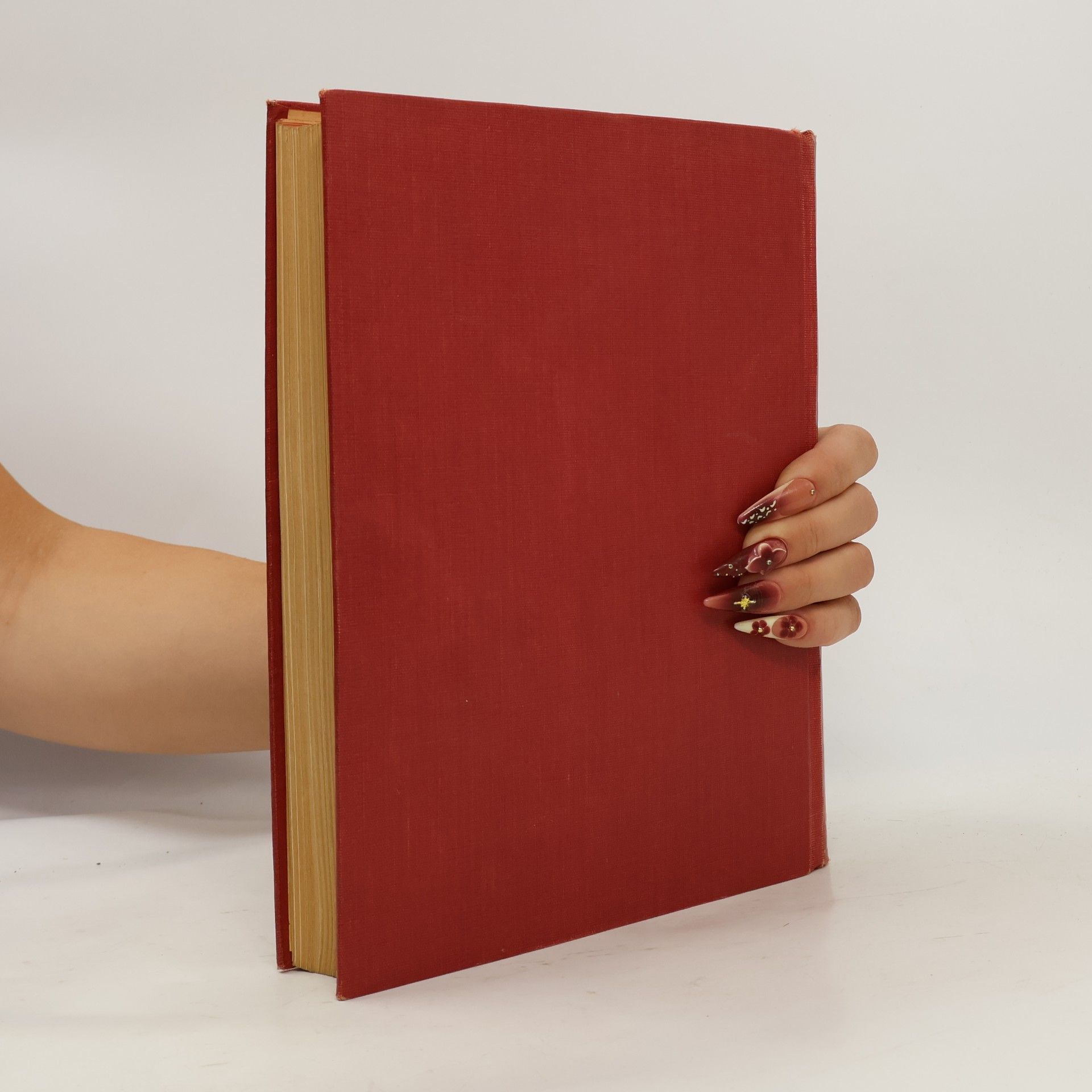 Various authors Encyklopedie československé mládeže VIII.