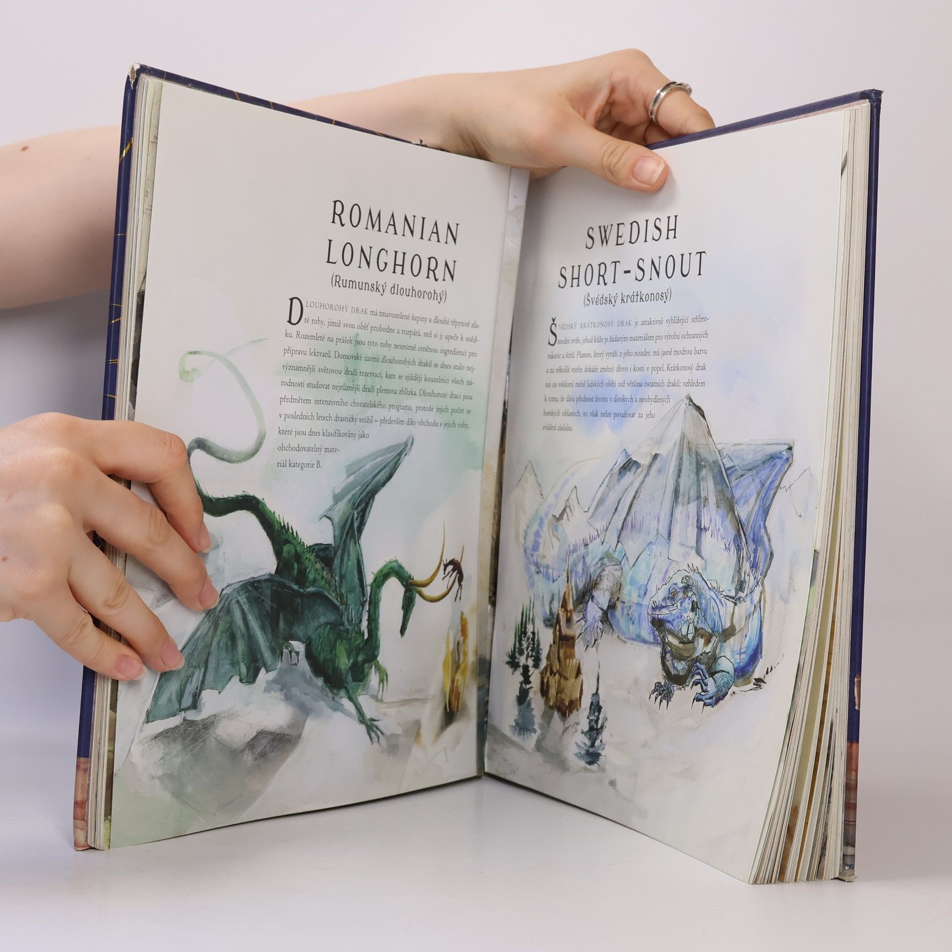 J. K. Rowling Fantastická zvířata a kde je najít
