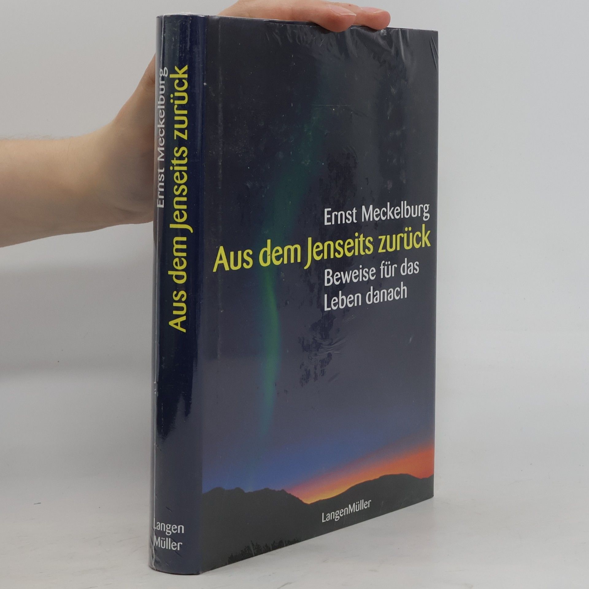 Ernst Meckelburg Aus dem Jenseits zurück