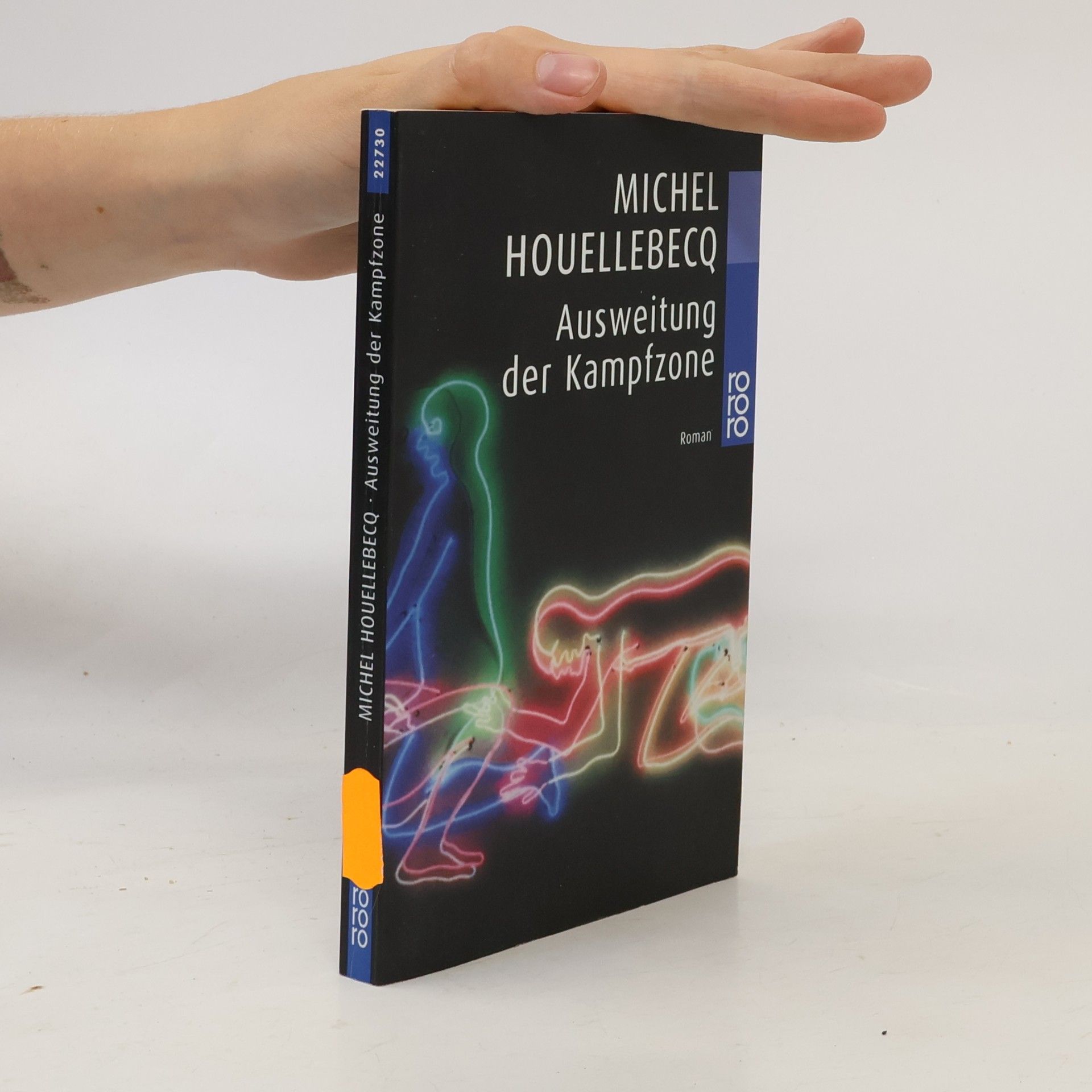 Michel Houellebecq Ausweitung der Kampfzone