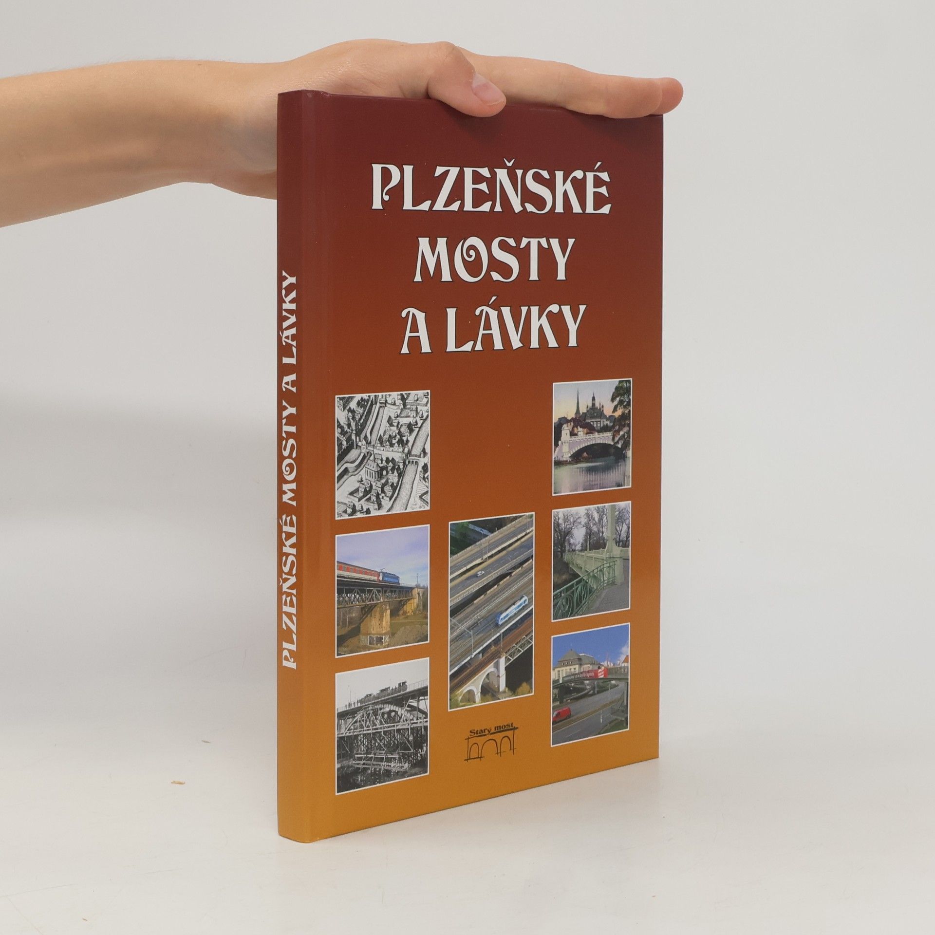 Miroslav Liška Plzeňské mosty a lávky