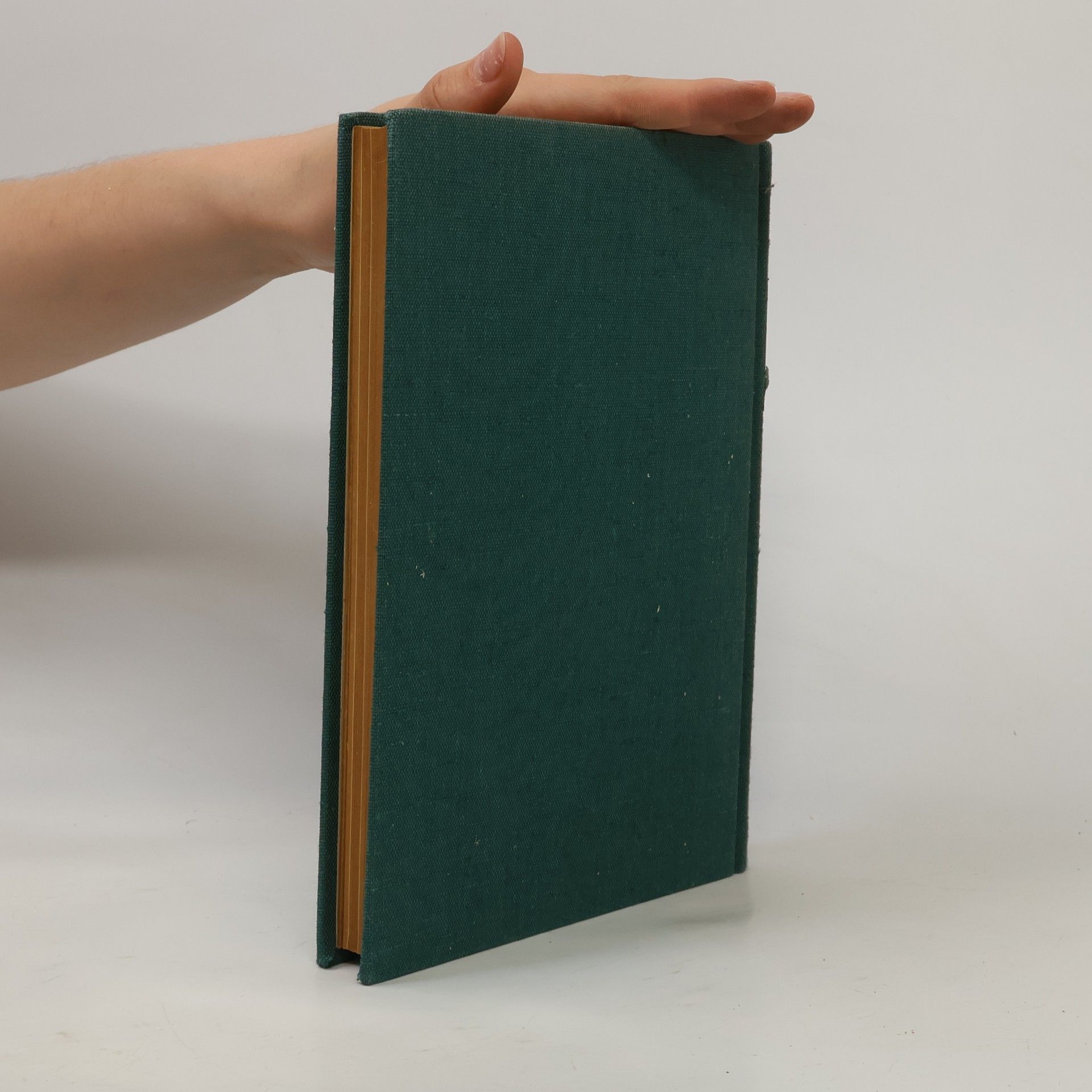 Eve Garnett Quelli del N. 1