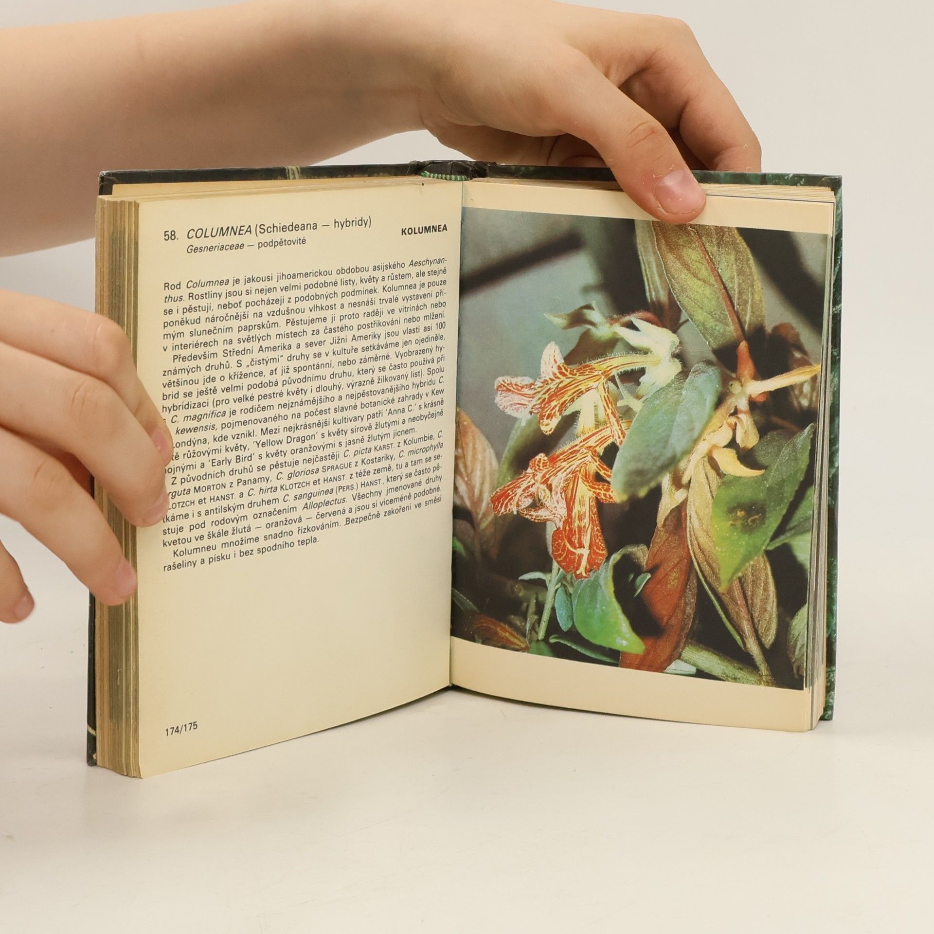 Jiří R. Haager Kapesní atlas pěstovaných exotických rostlin