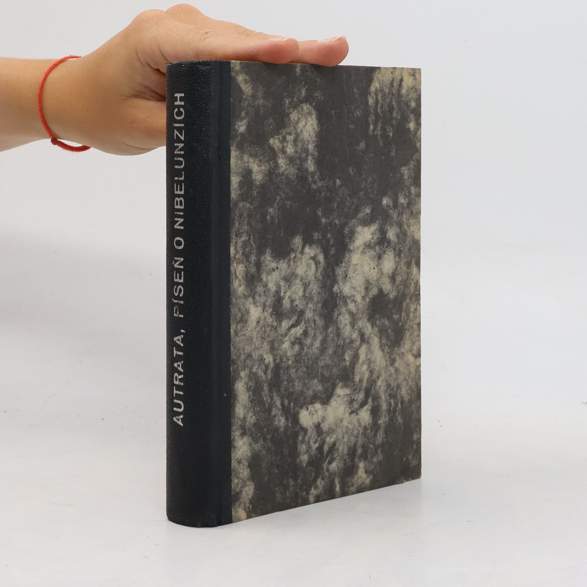 Collectif d'auteurs Píseň o Nibelunzích