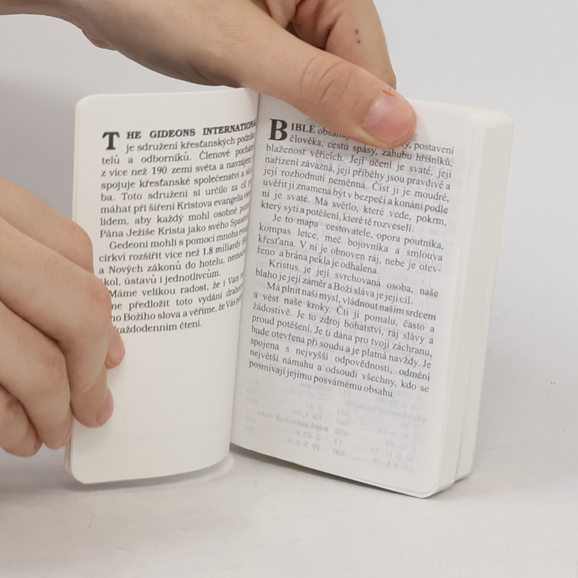 Various authors Nový Zákon. Žalmy a Přísloví
