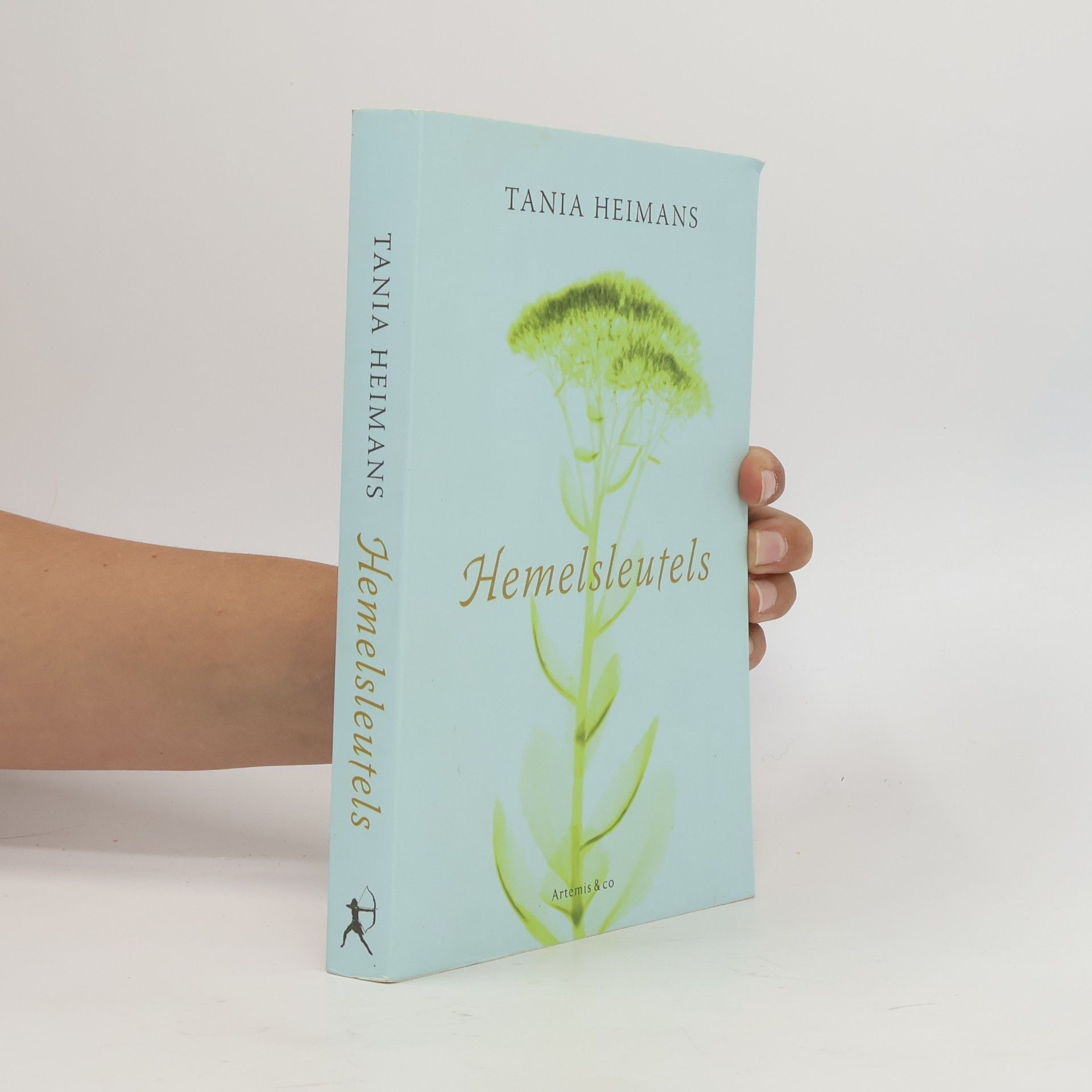 Tania Heimans Hemelsleutels