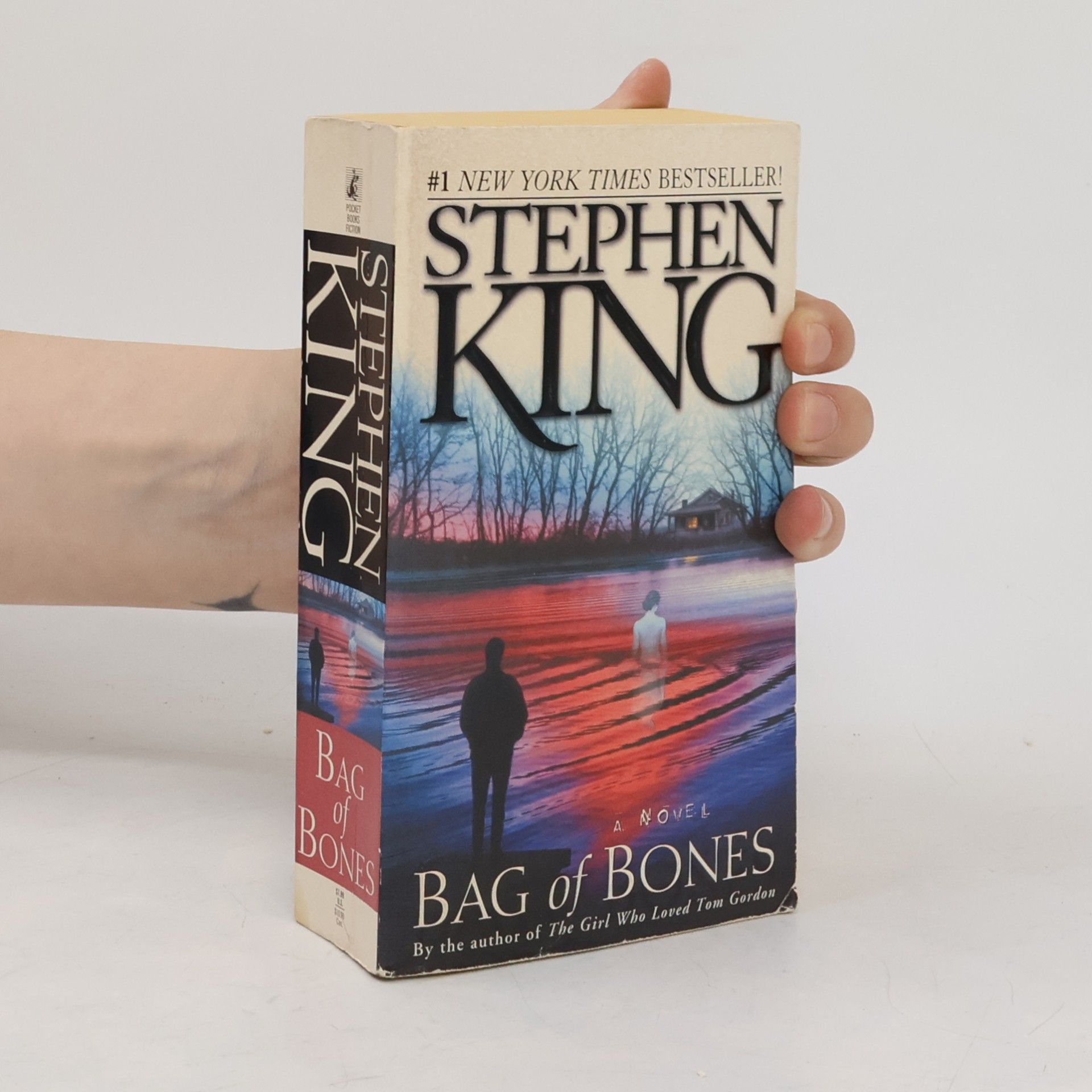 Stephen King Bag of Bones