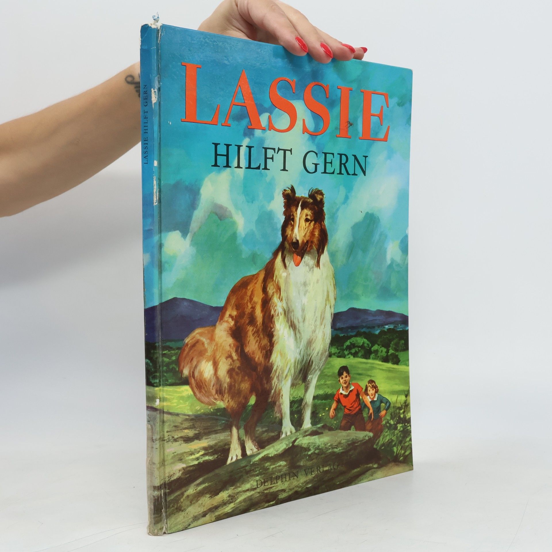 AA.VV. Lassie hilft gern