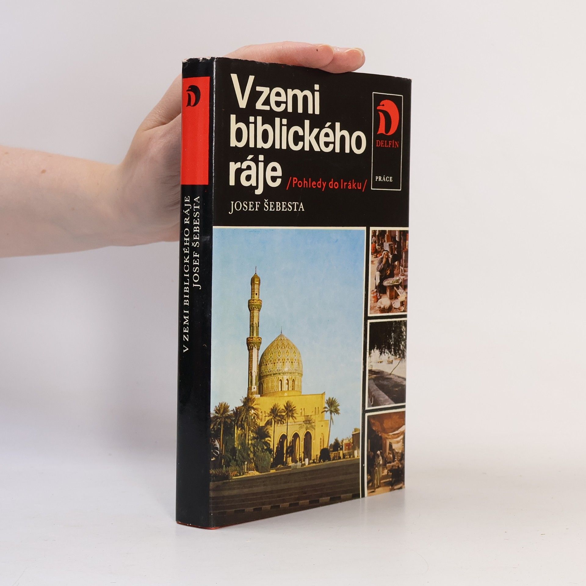 V zemi biblického ráje