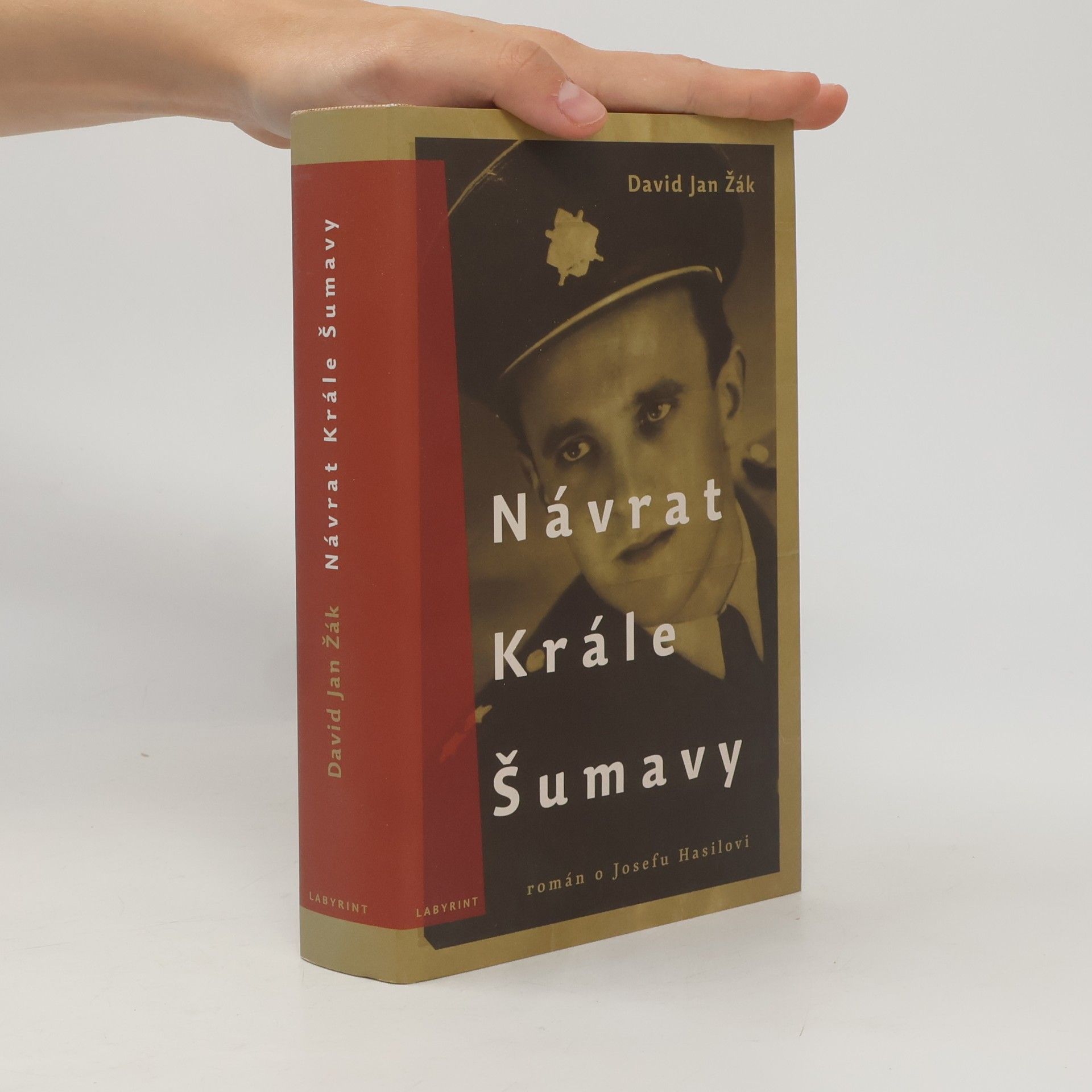 David Jan Žák Návrat Krále Šumavy