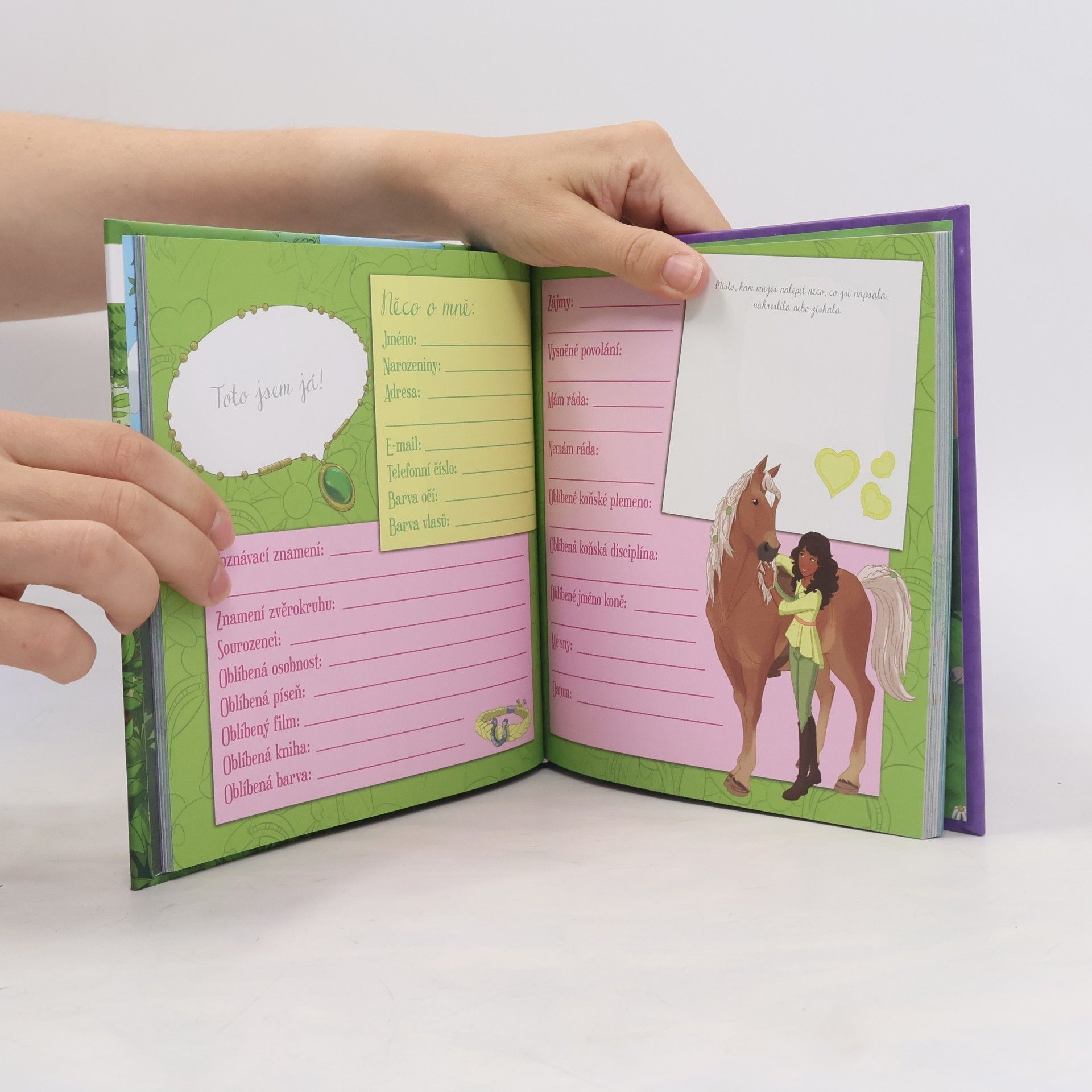 Autorenkollektiv Památníček spolku Horse Club