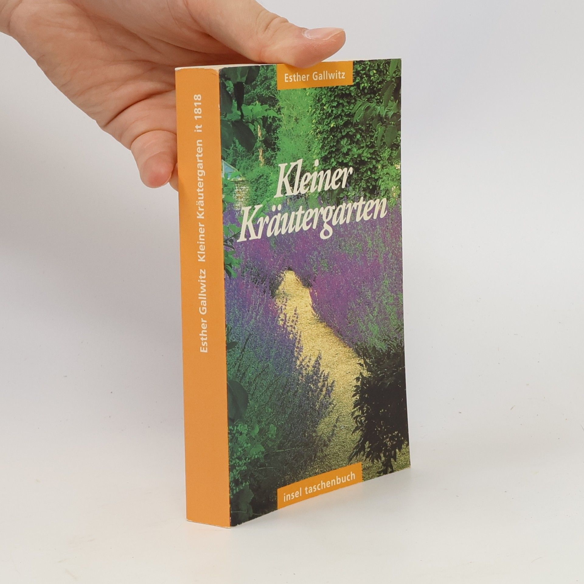Esther Gallwitz Kleiner Kräutergarten