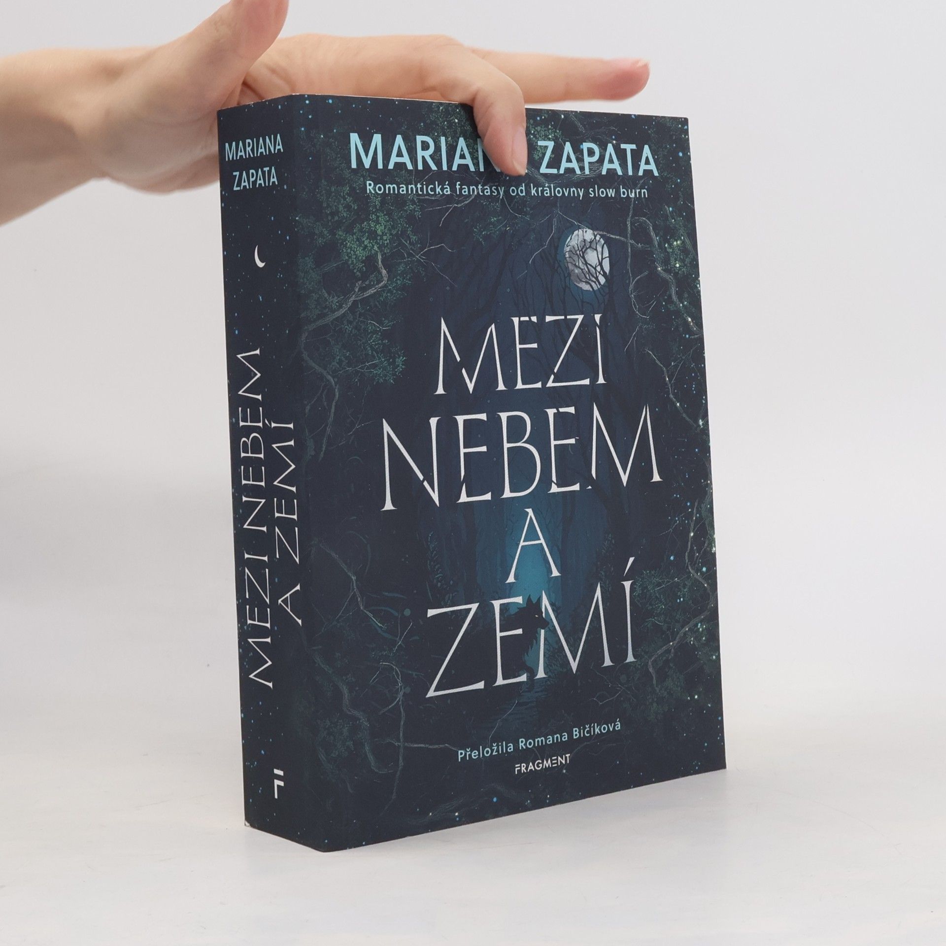 Mezi nebem a zemí